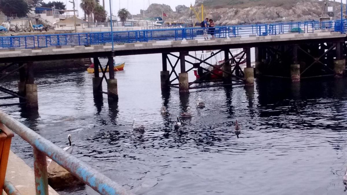 Cabaña Pichidangui