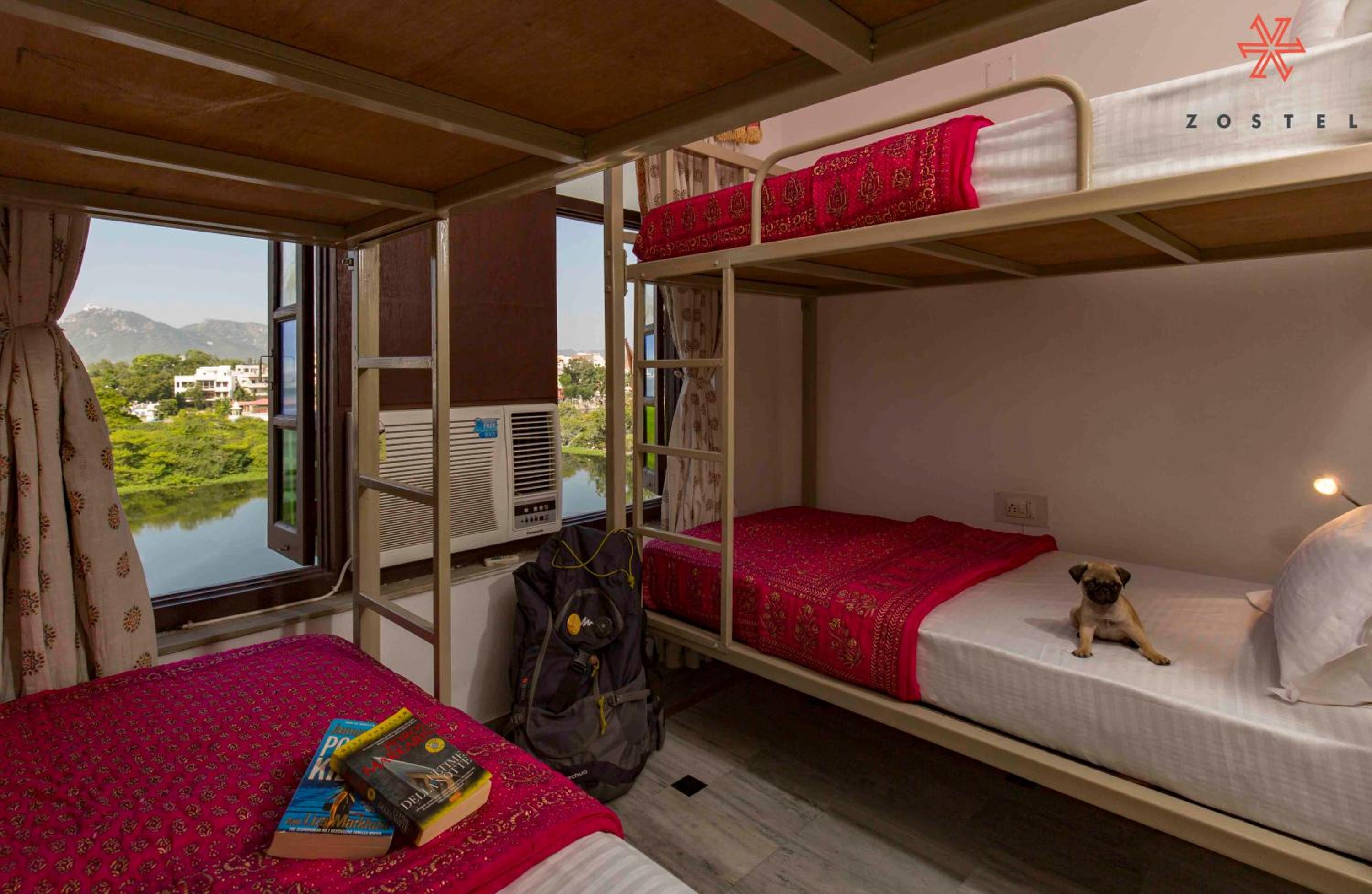Zostel Udaipur - Hostel 14
