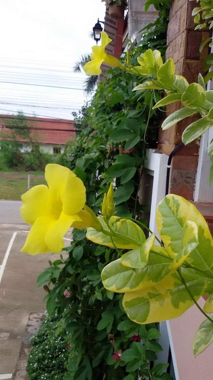 Lampang Lanna Home