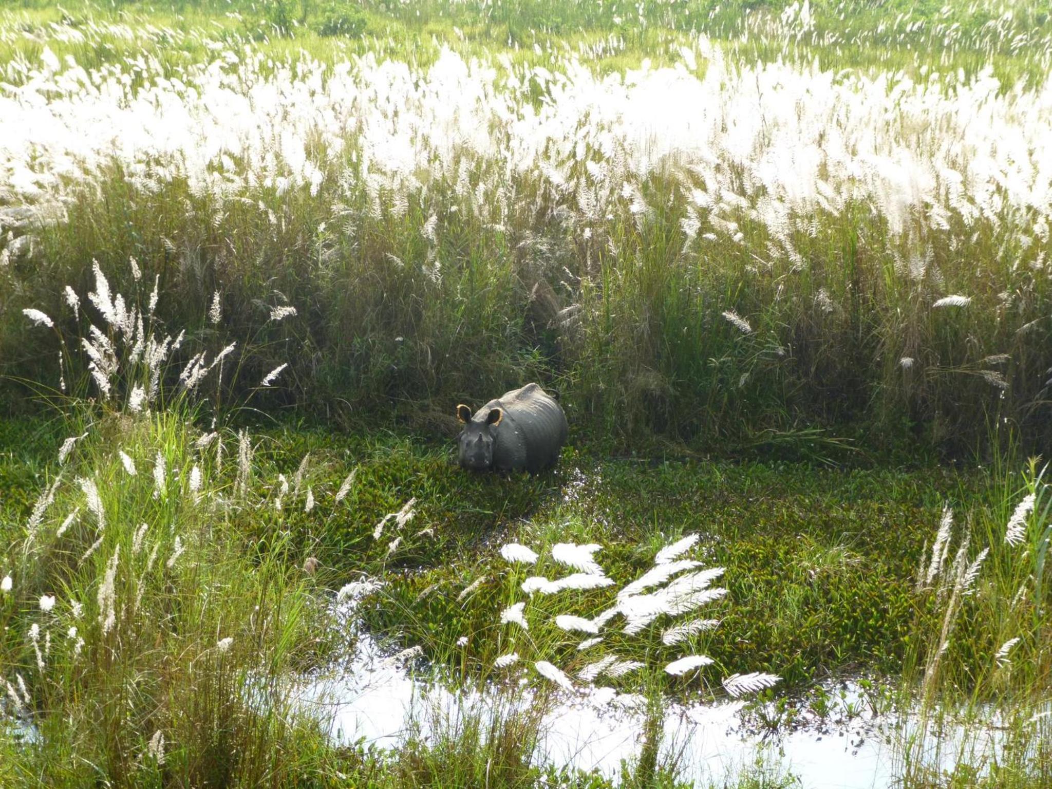 Kasara Chitwan