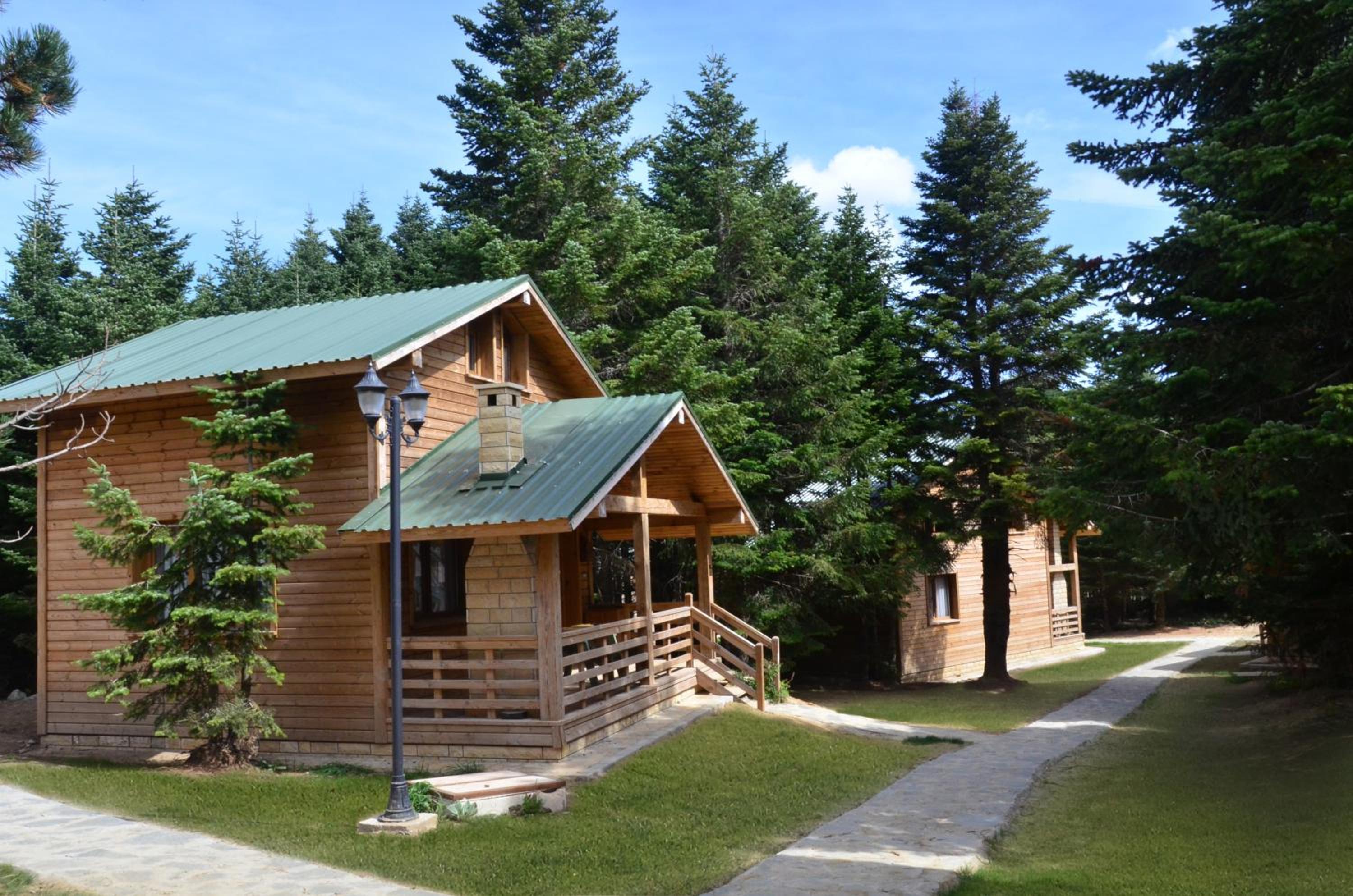 Uludag Orman Koskleri - Image 8