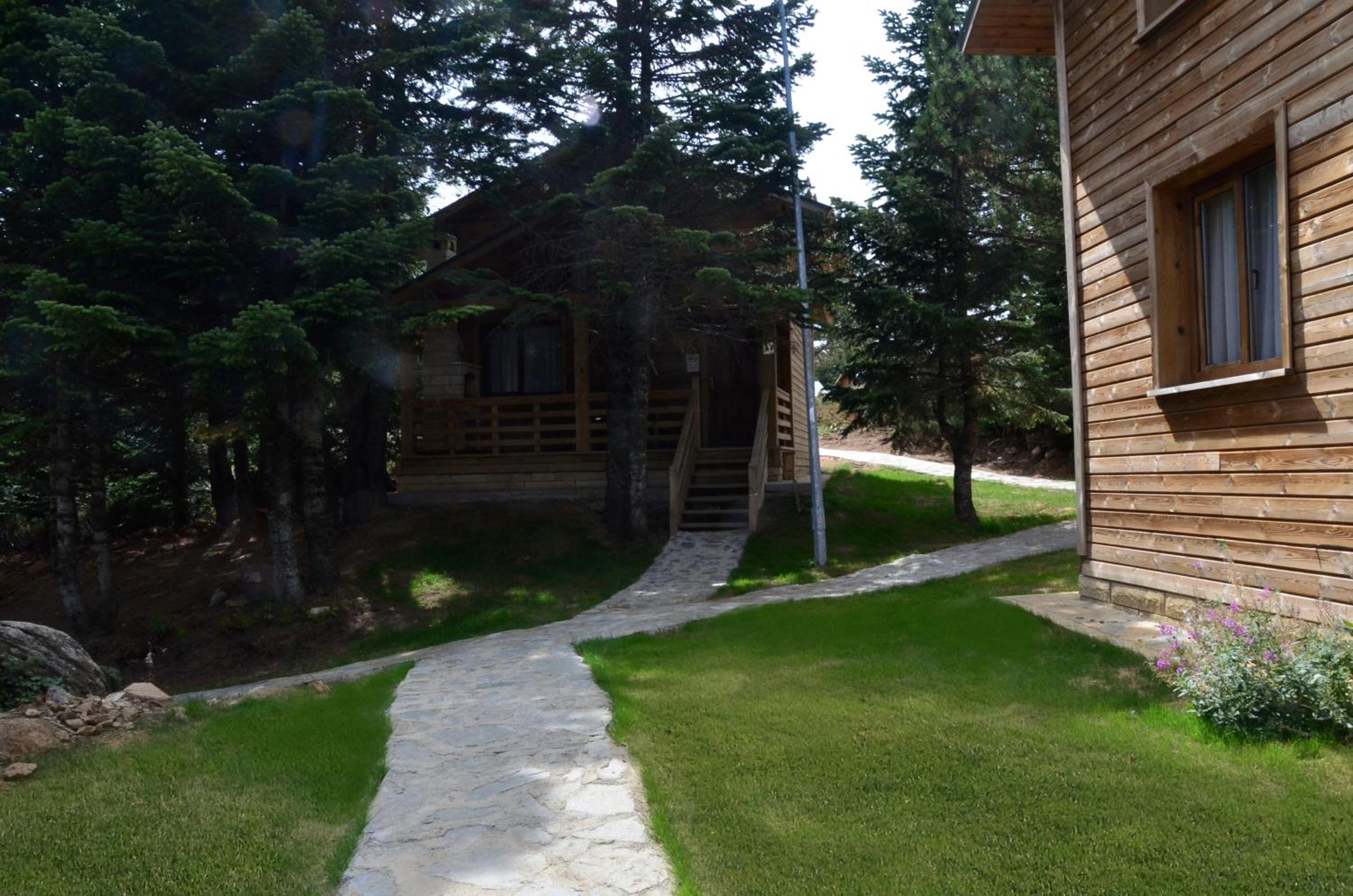 Uludag Orman Koskleri - Image 11