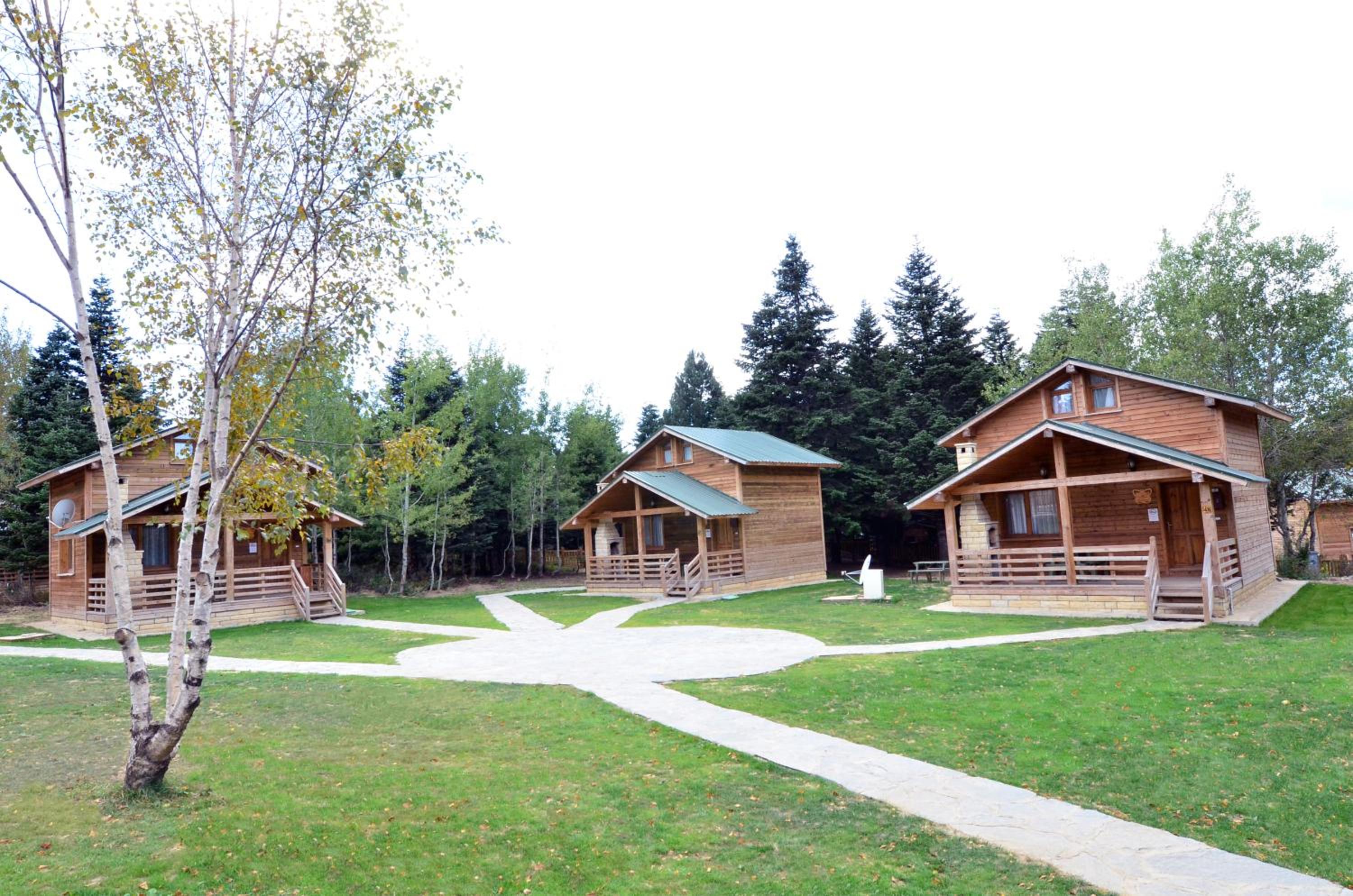 Uludag Orman Koskleri - Image 22