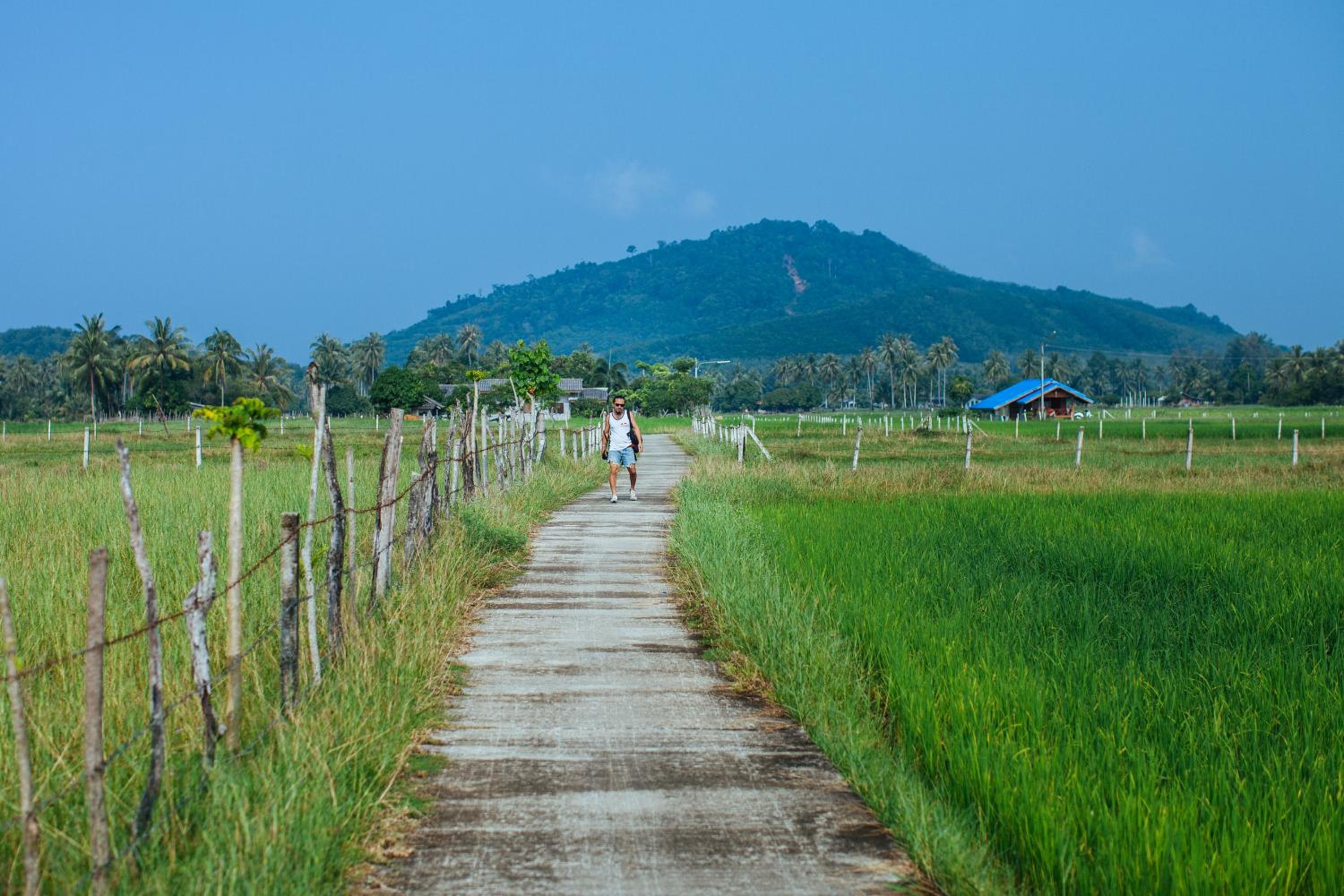 Yataa Spa and Resort