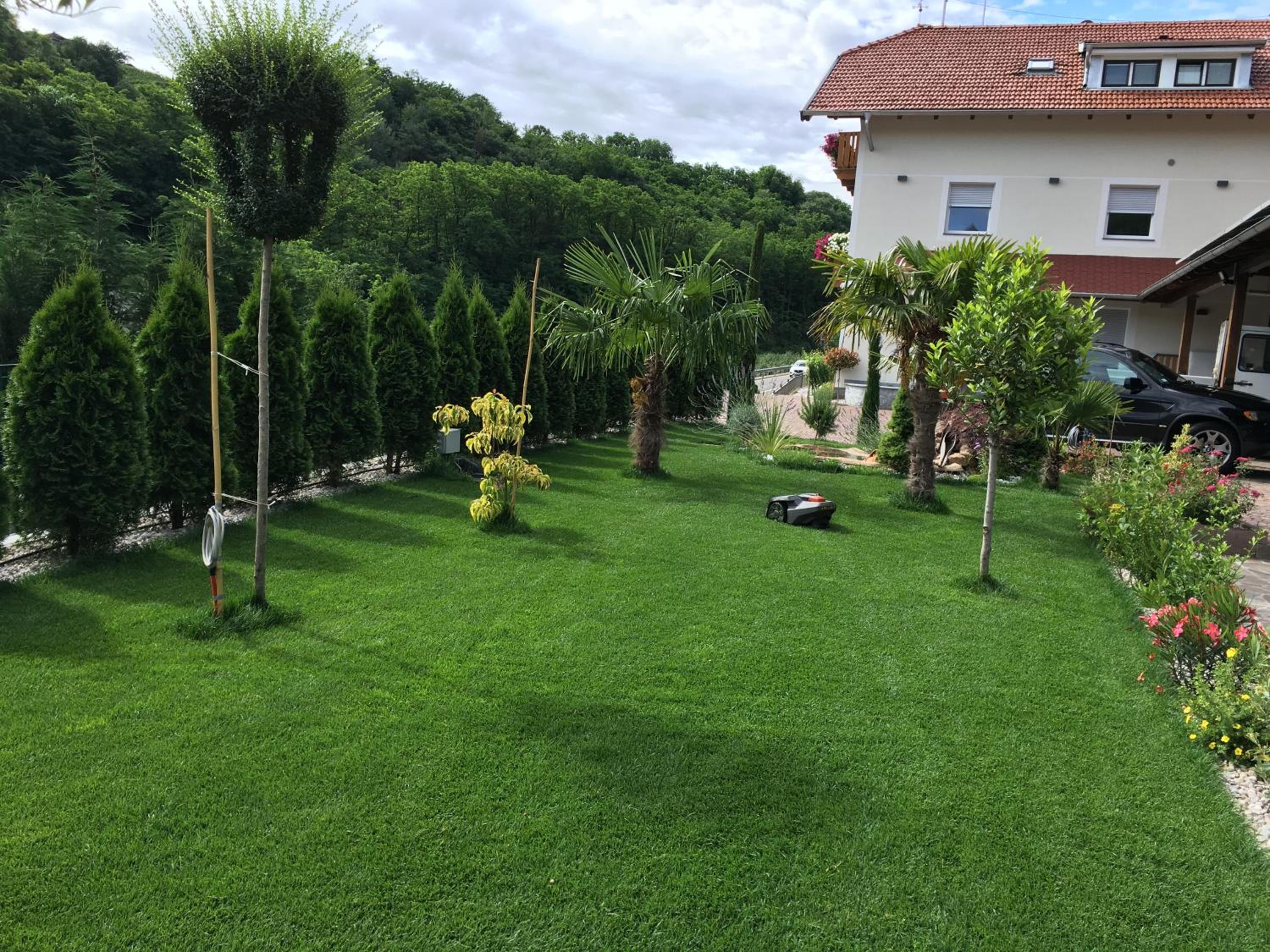 Photo 43