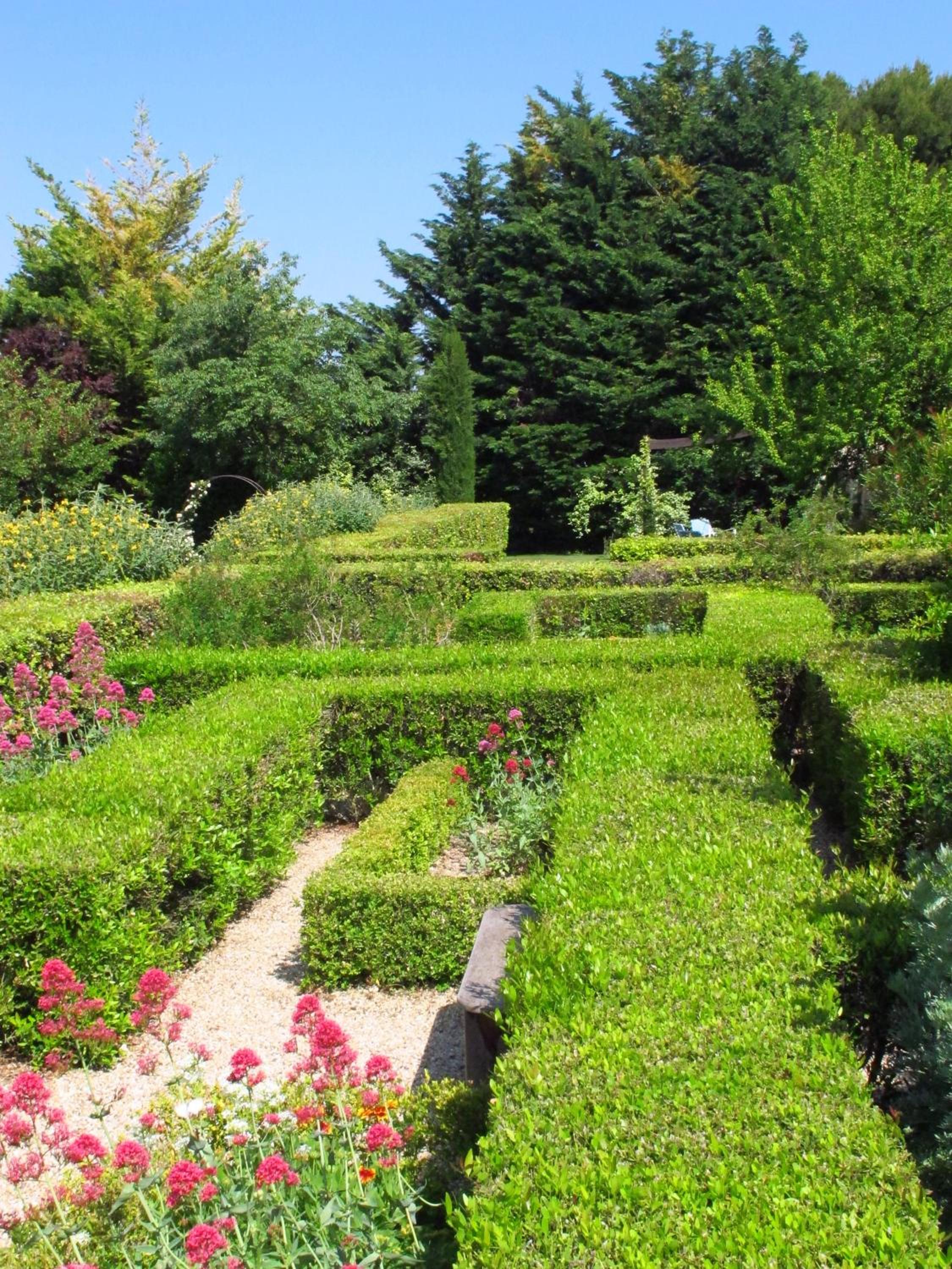 La Cour Des Sens
