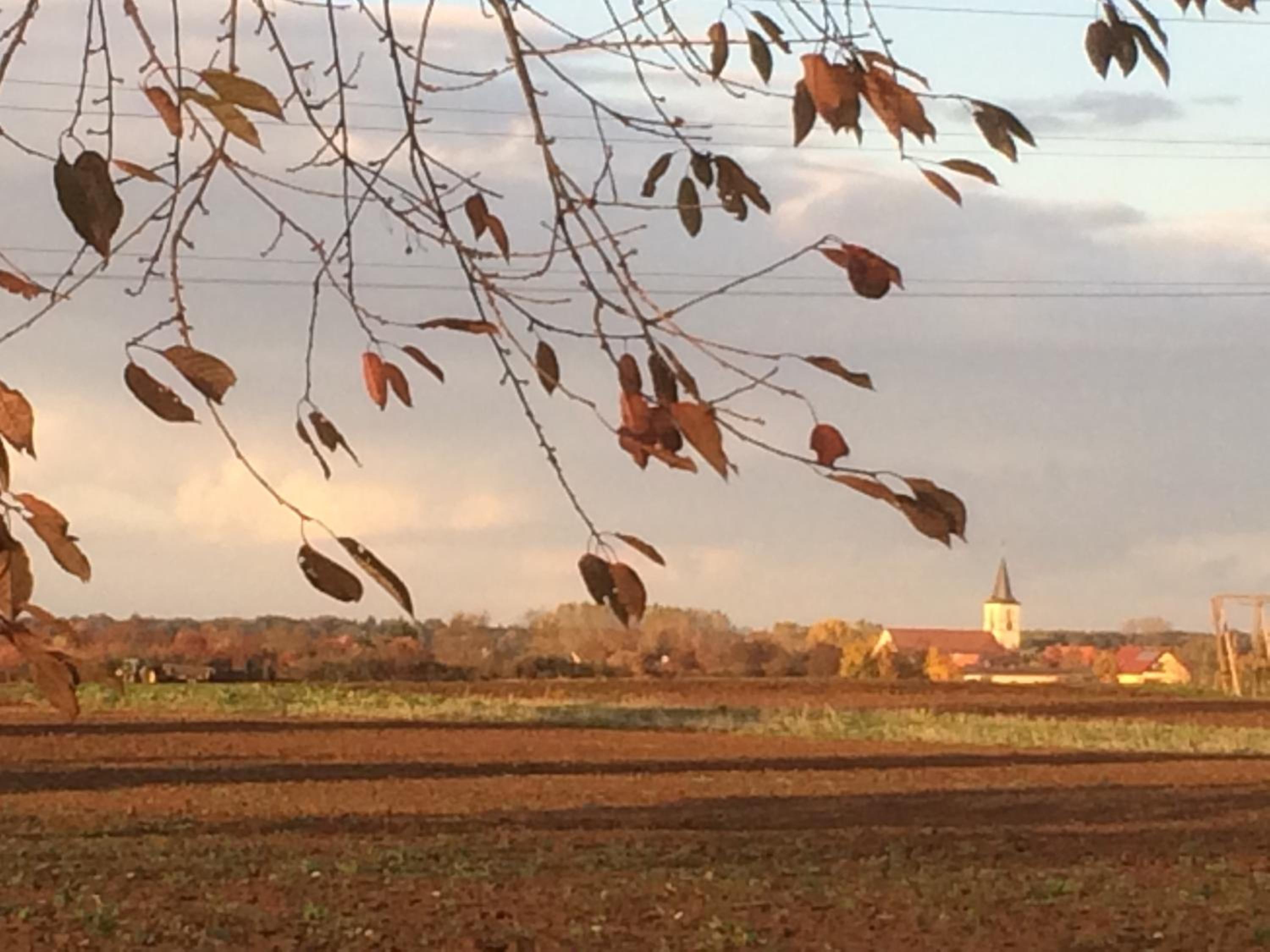 Alte Heimat