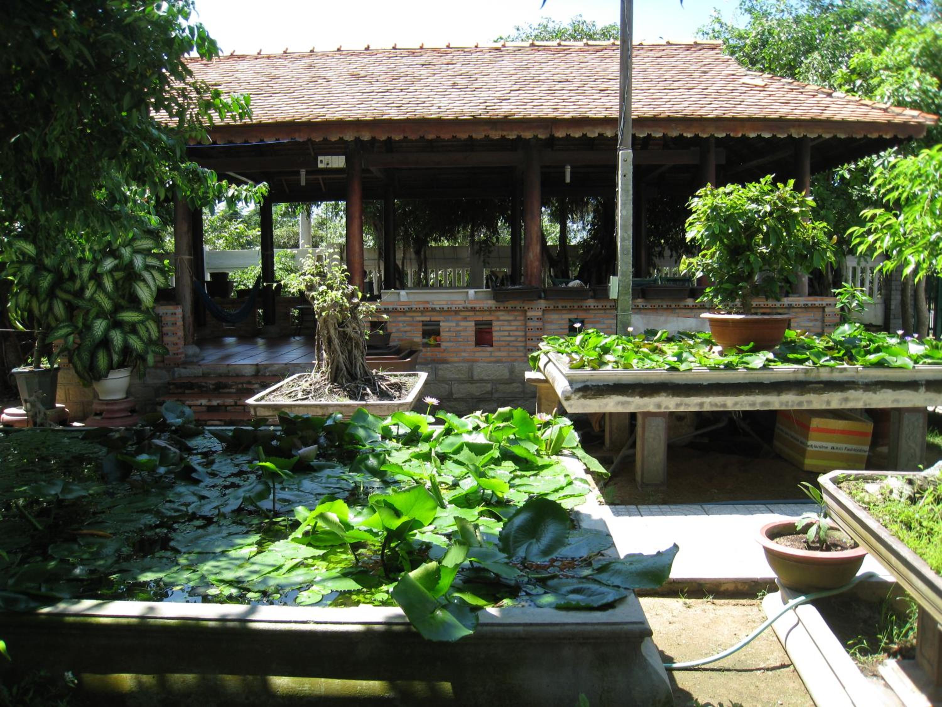 Photo 11