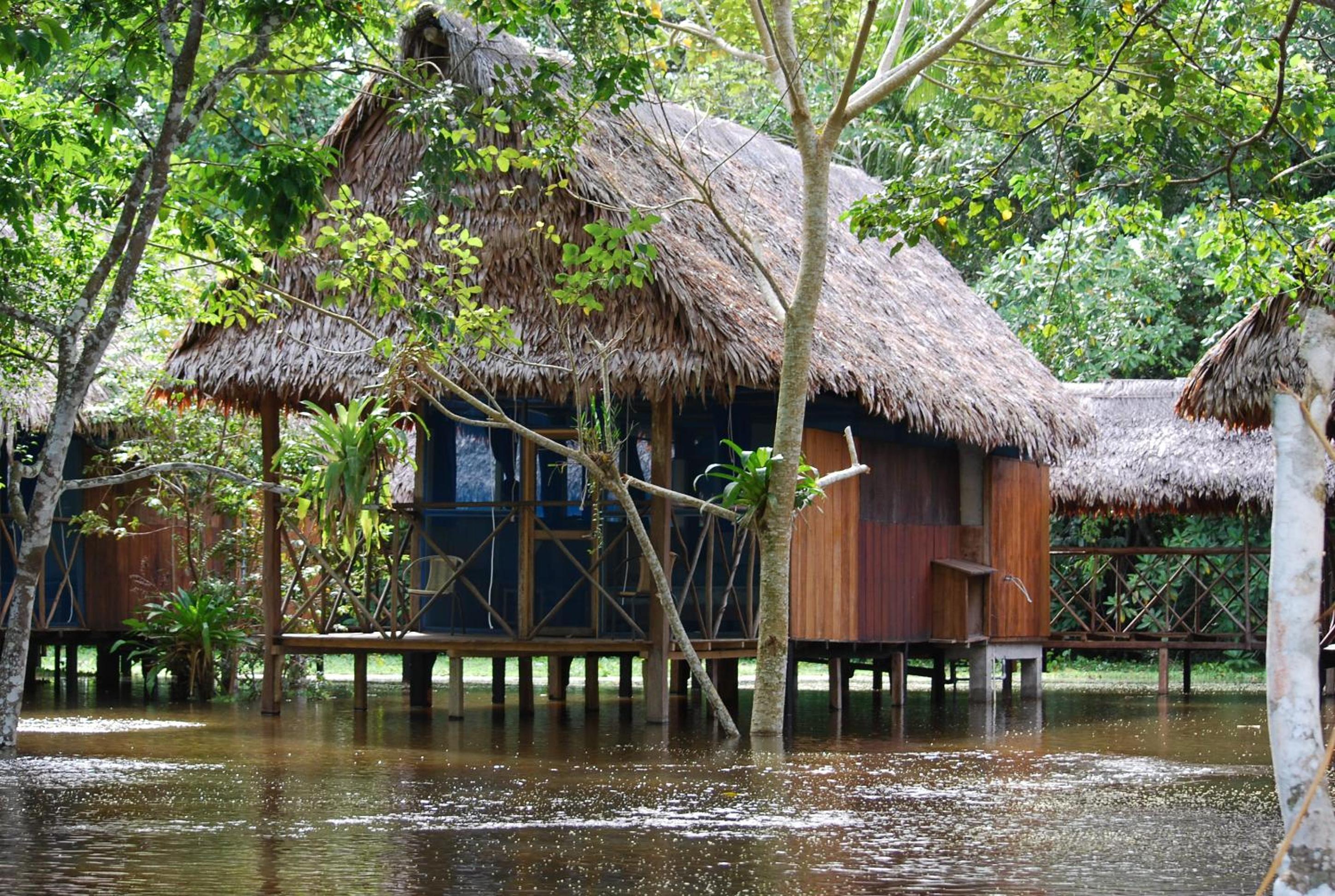Amazon Muyuna Lodge - All Inclusive
