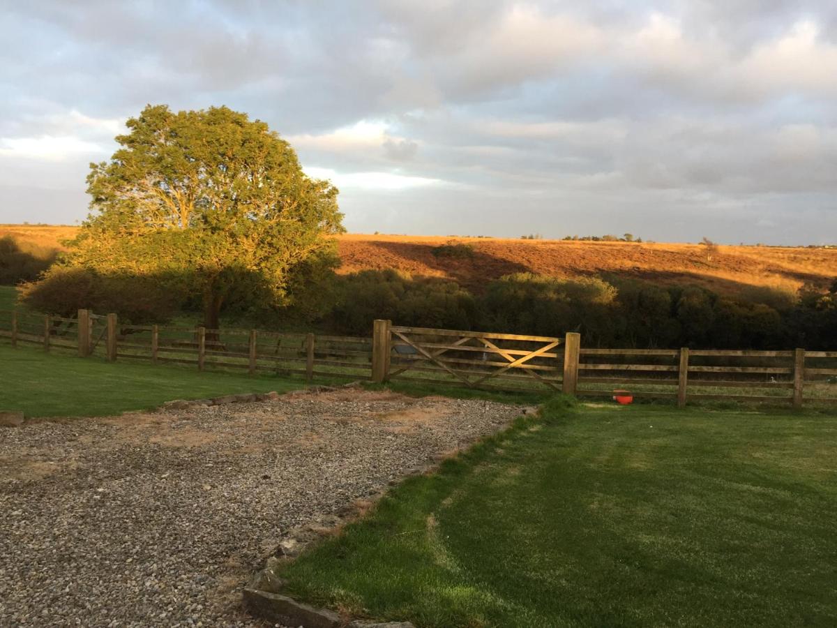 Folly Hall Farm