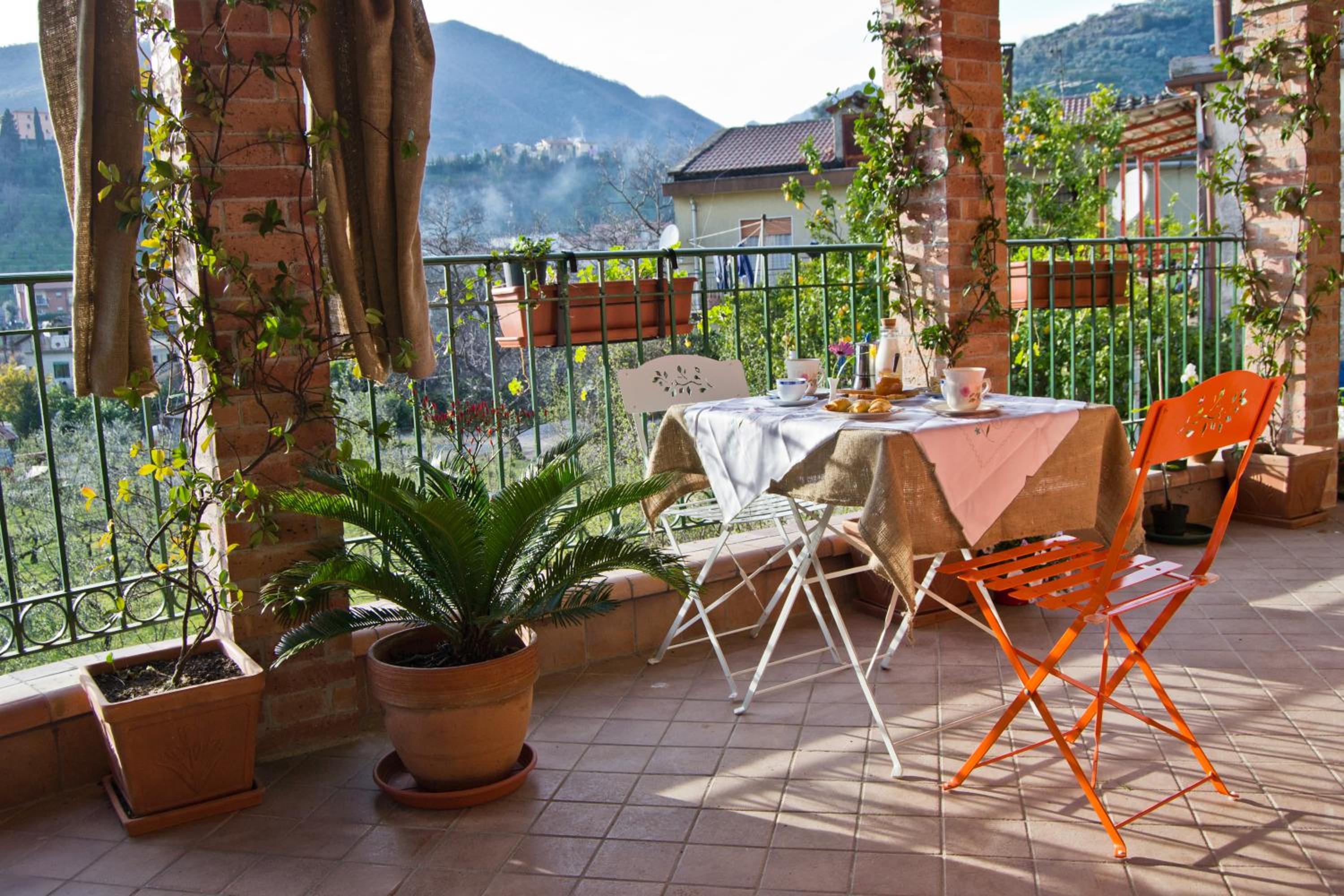 balance & terrace