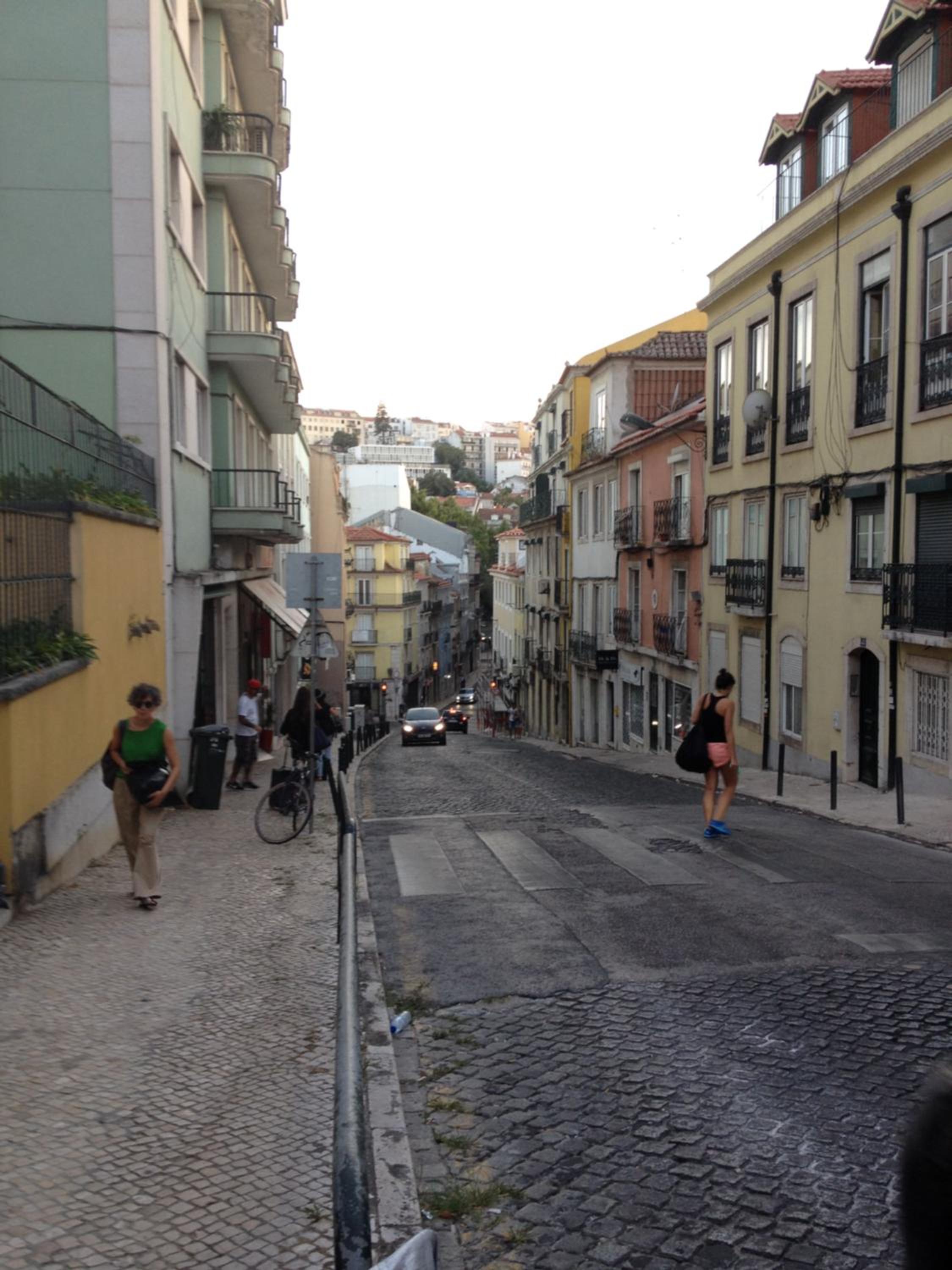Photo 44