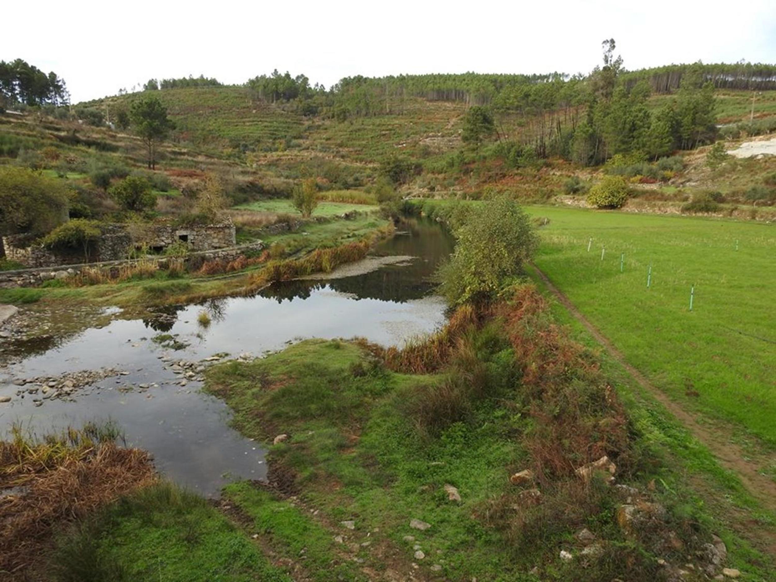 Photo 42