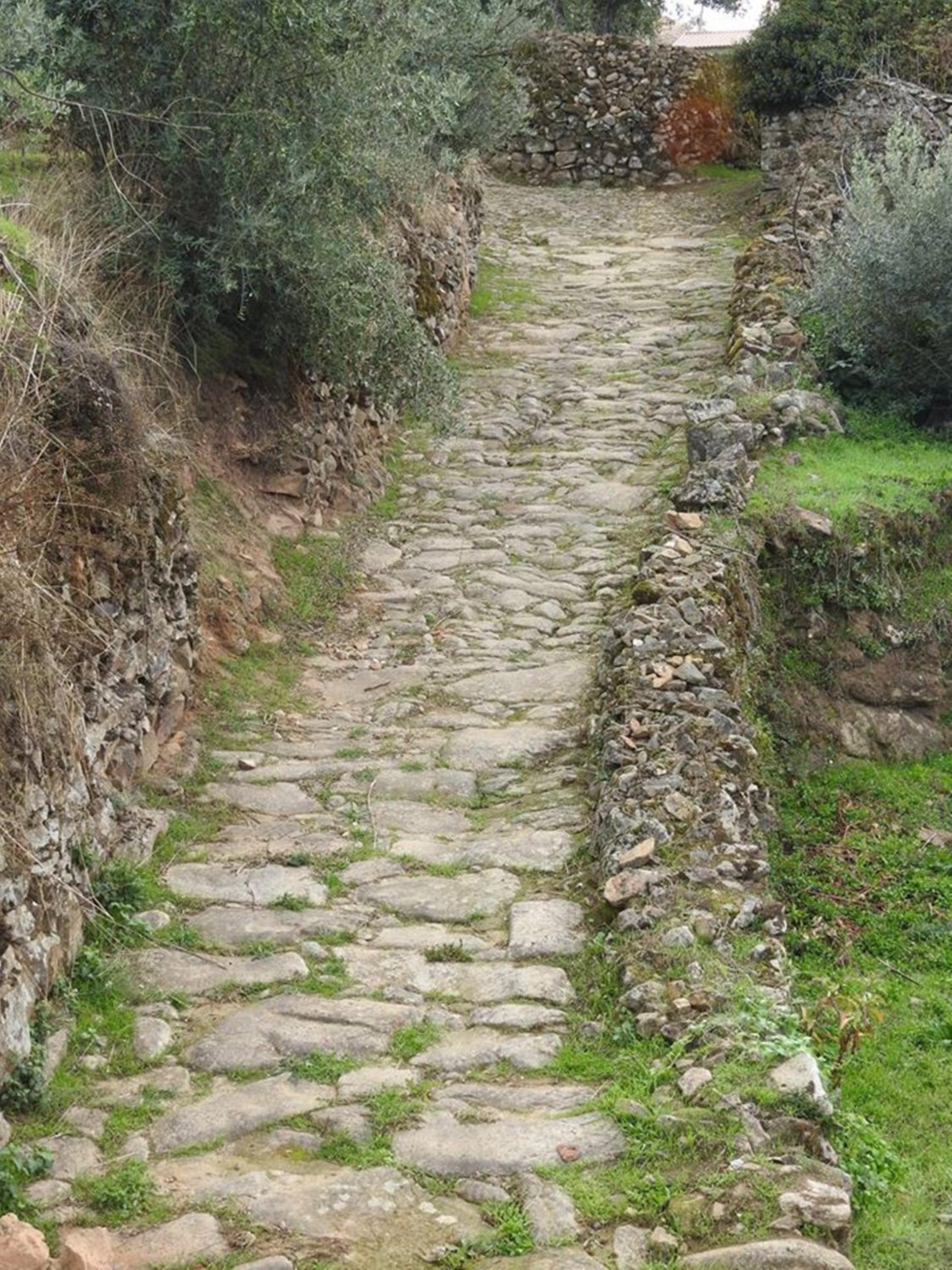 Photo 32