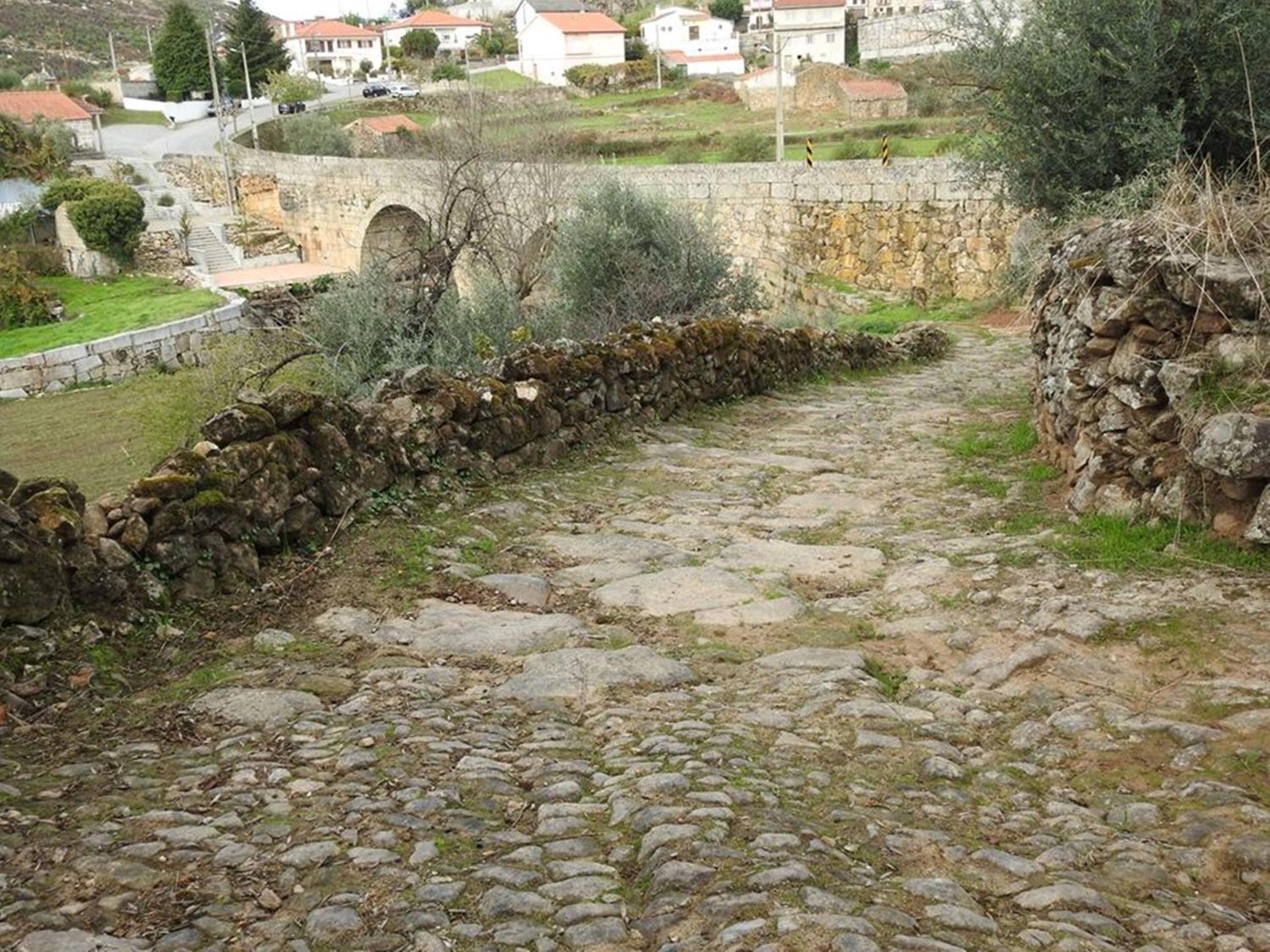 Photo 31