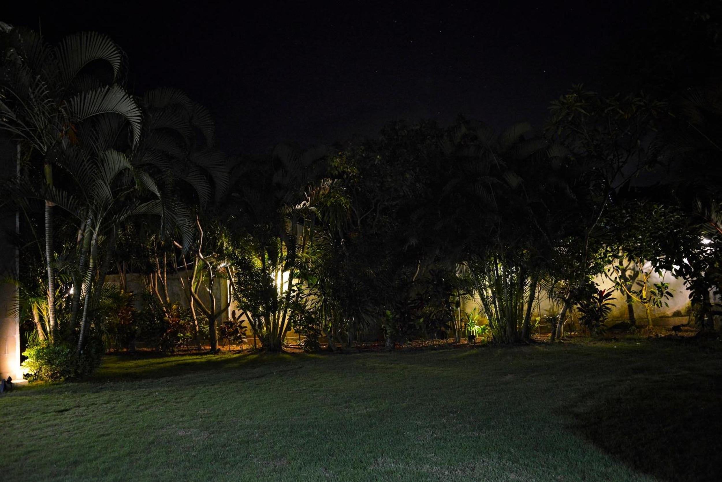 Photo 25