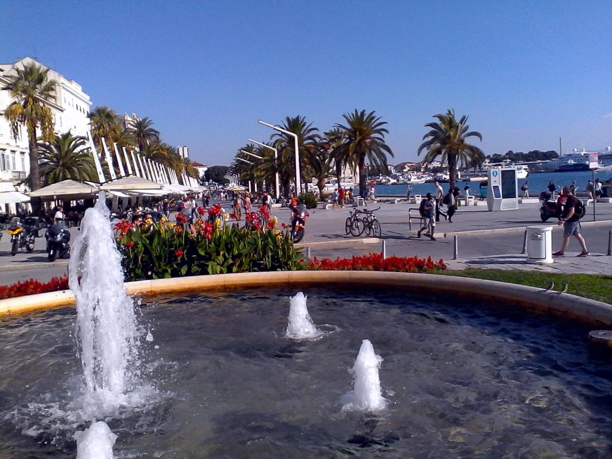 Photo 33