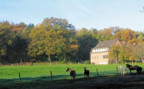 Forsthaus Schöntal