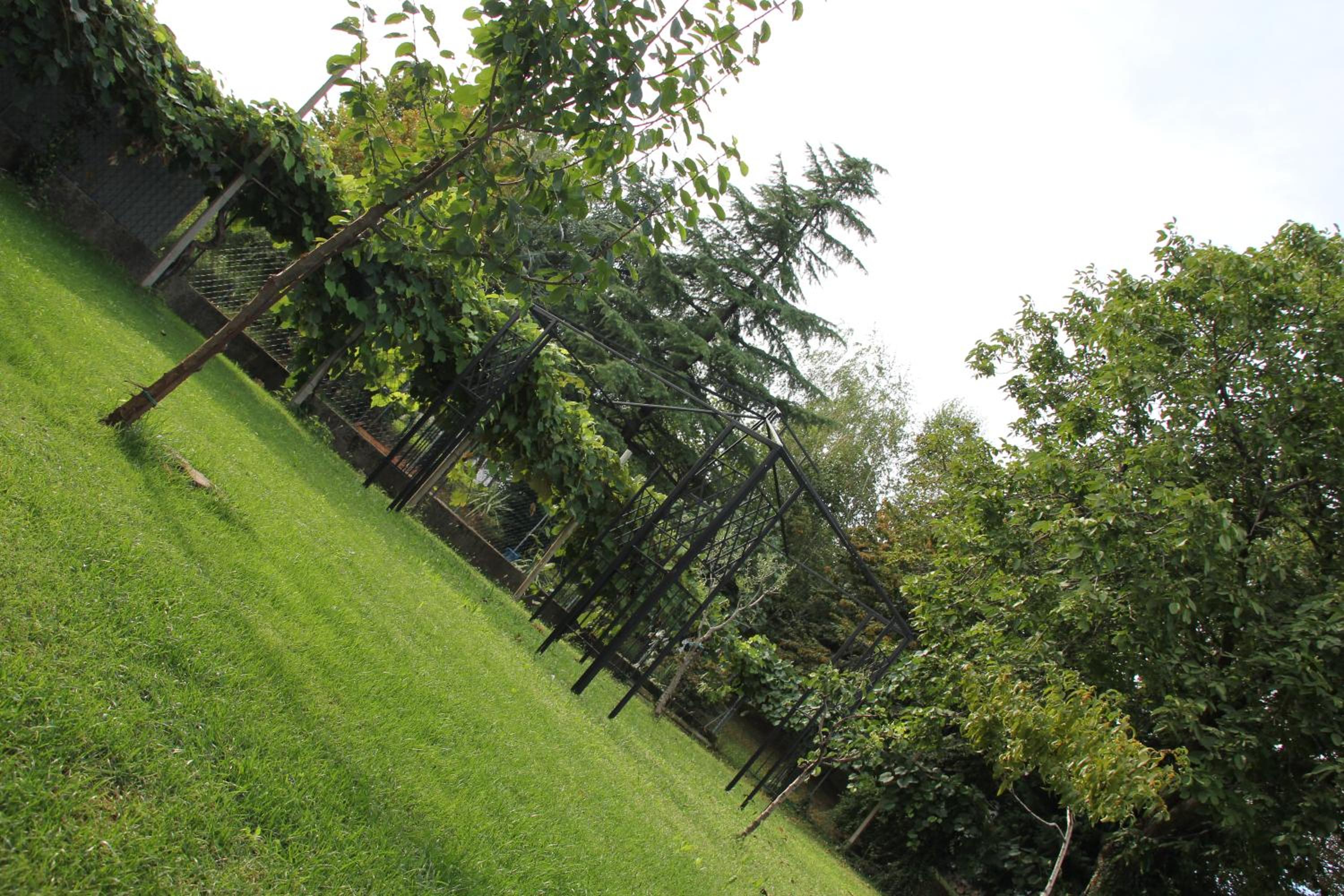 Photo 35