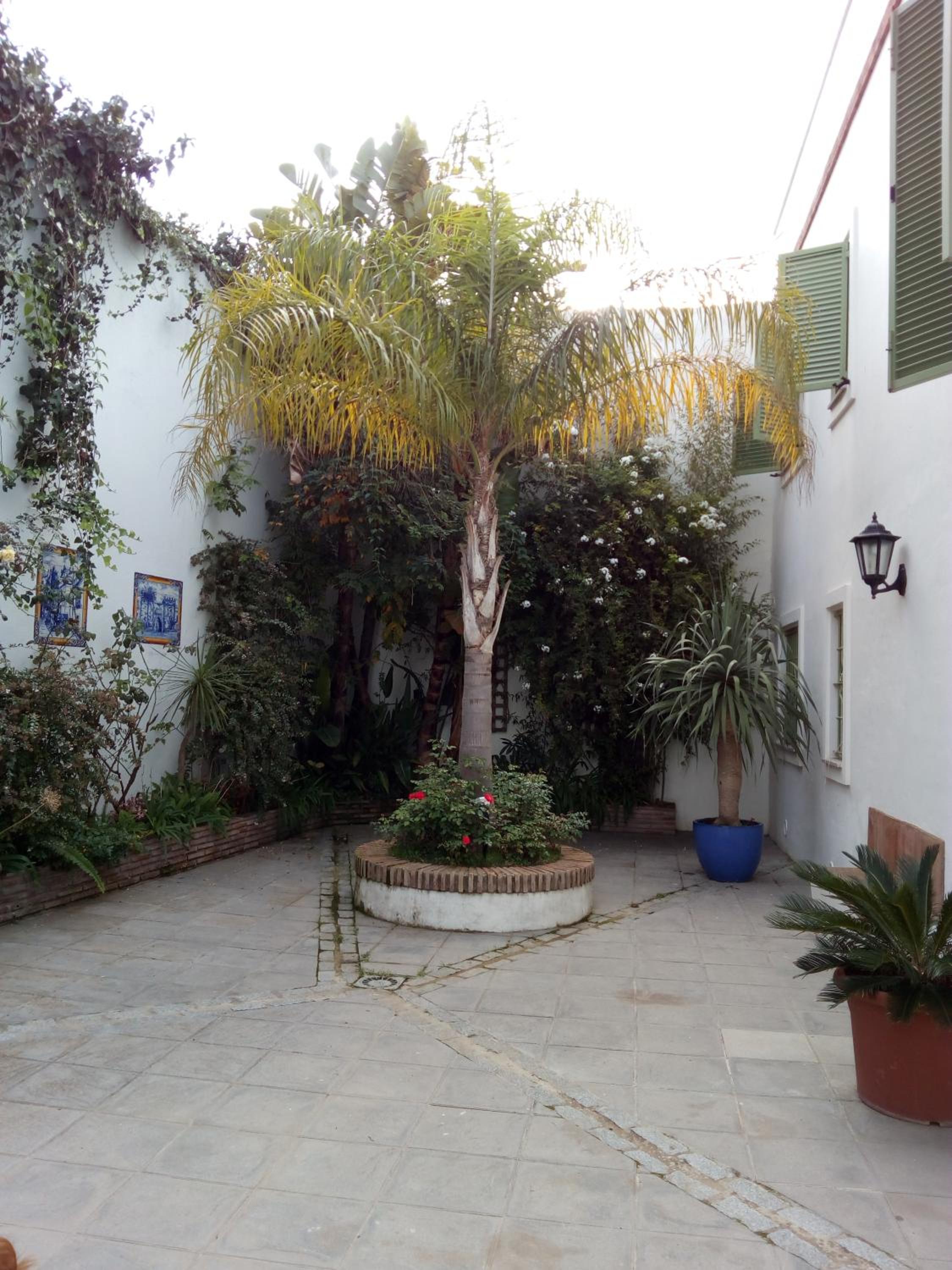 Photo 45