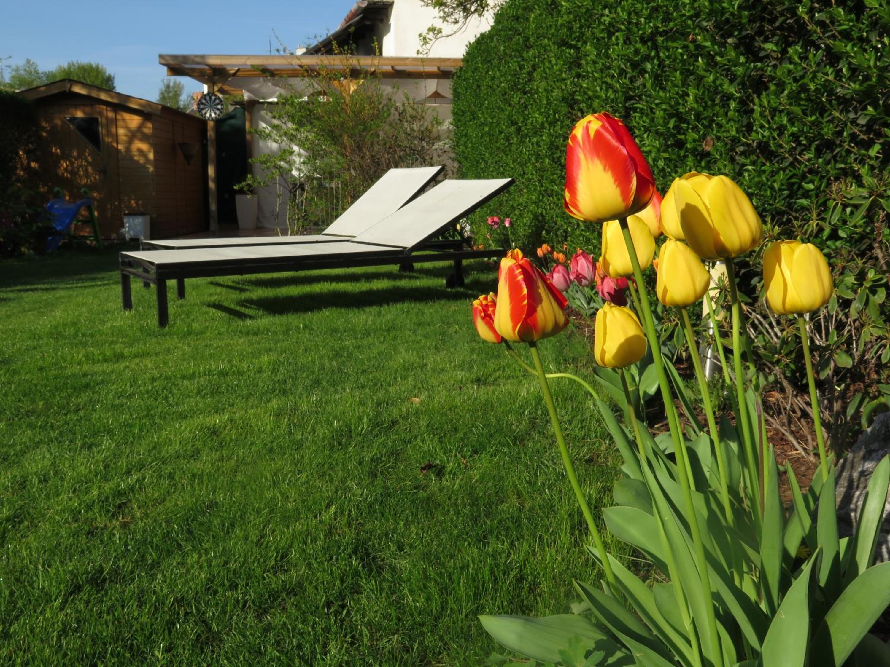 Photo 42