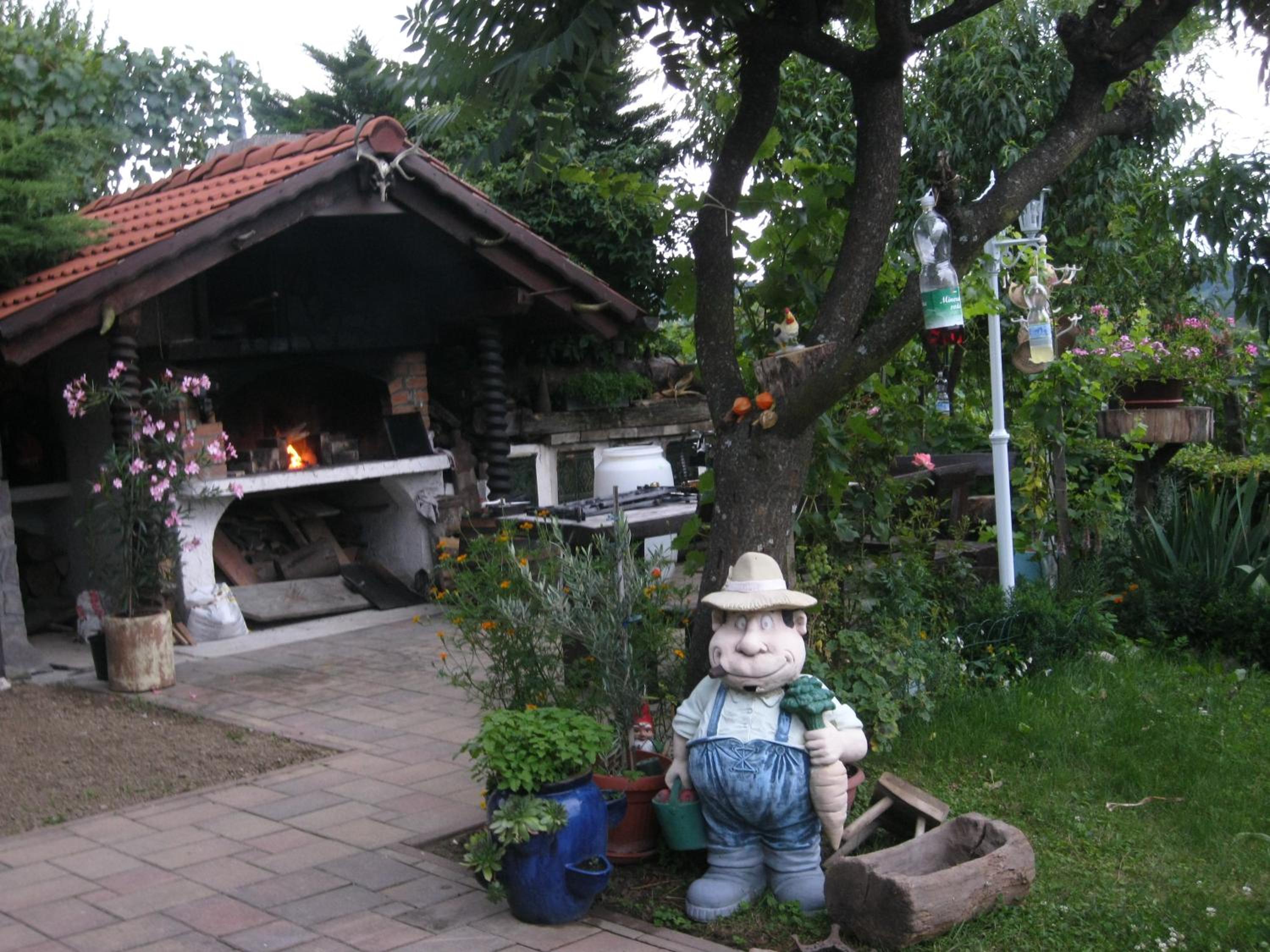 Photo 46
