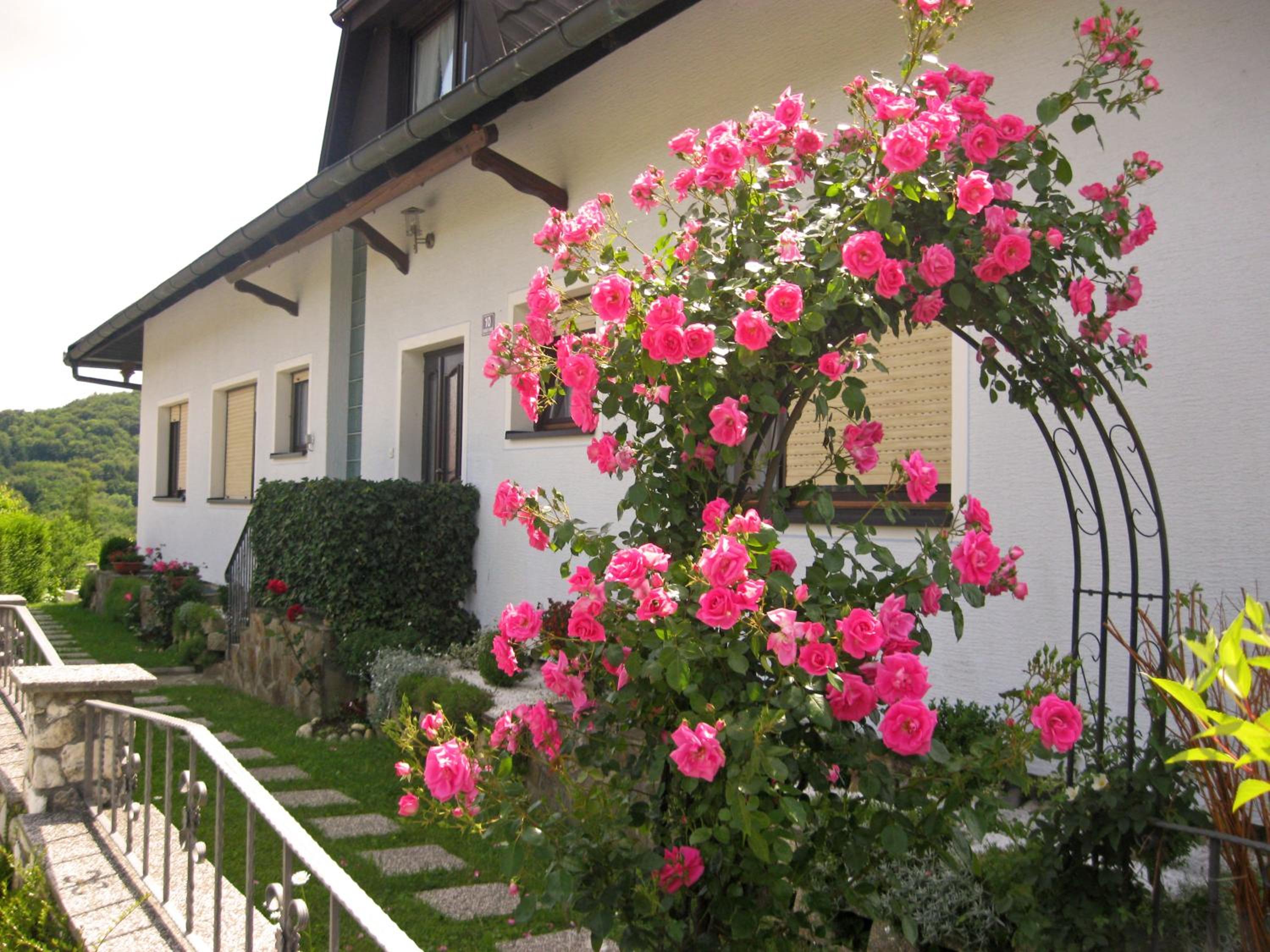 Photo 29