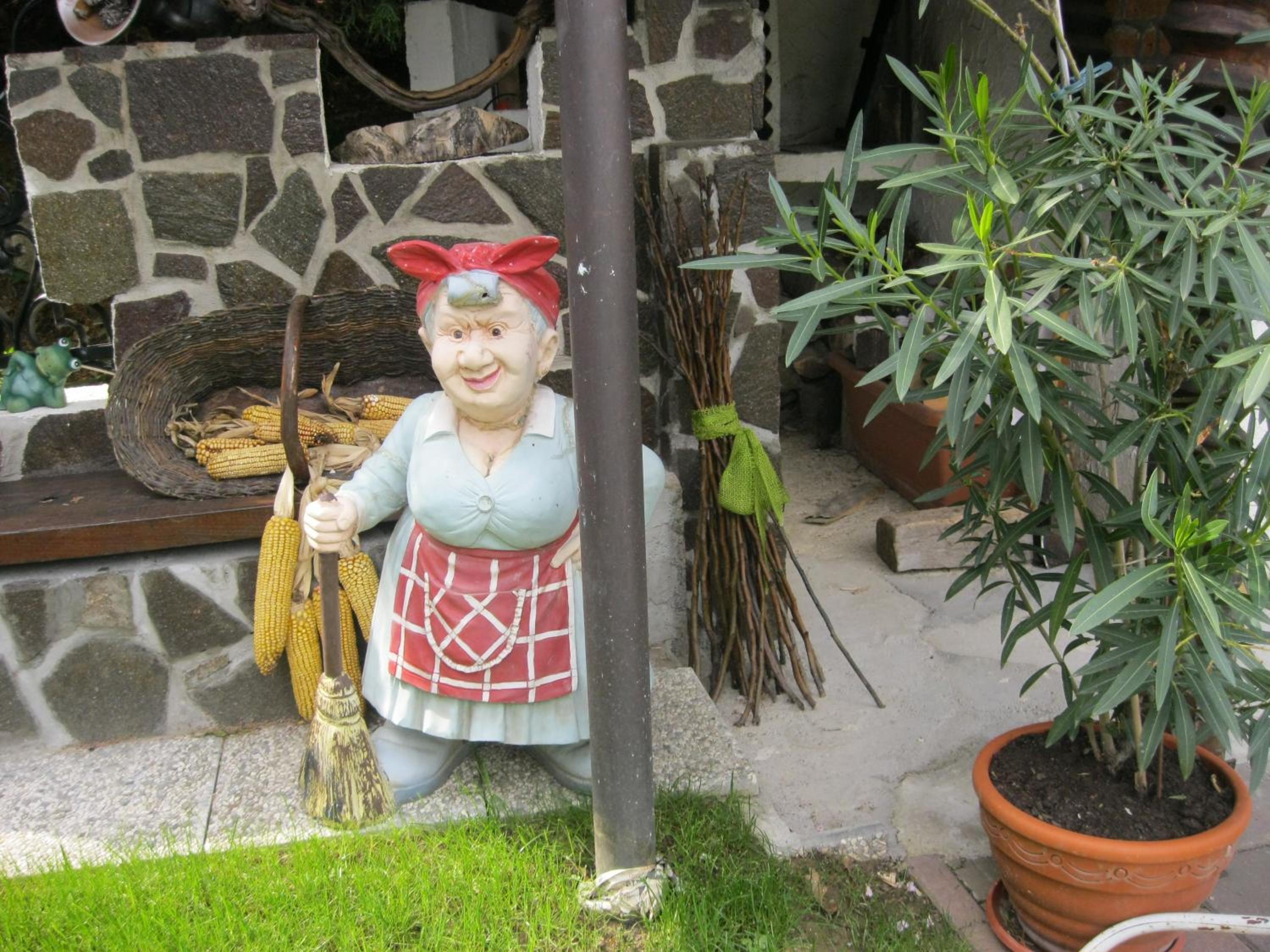 Photo 45