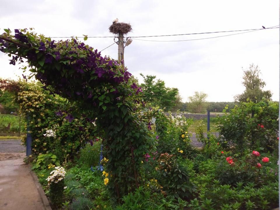 Photo 23