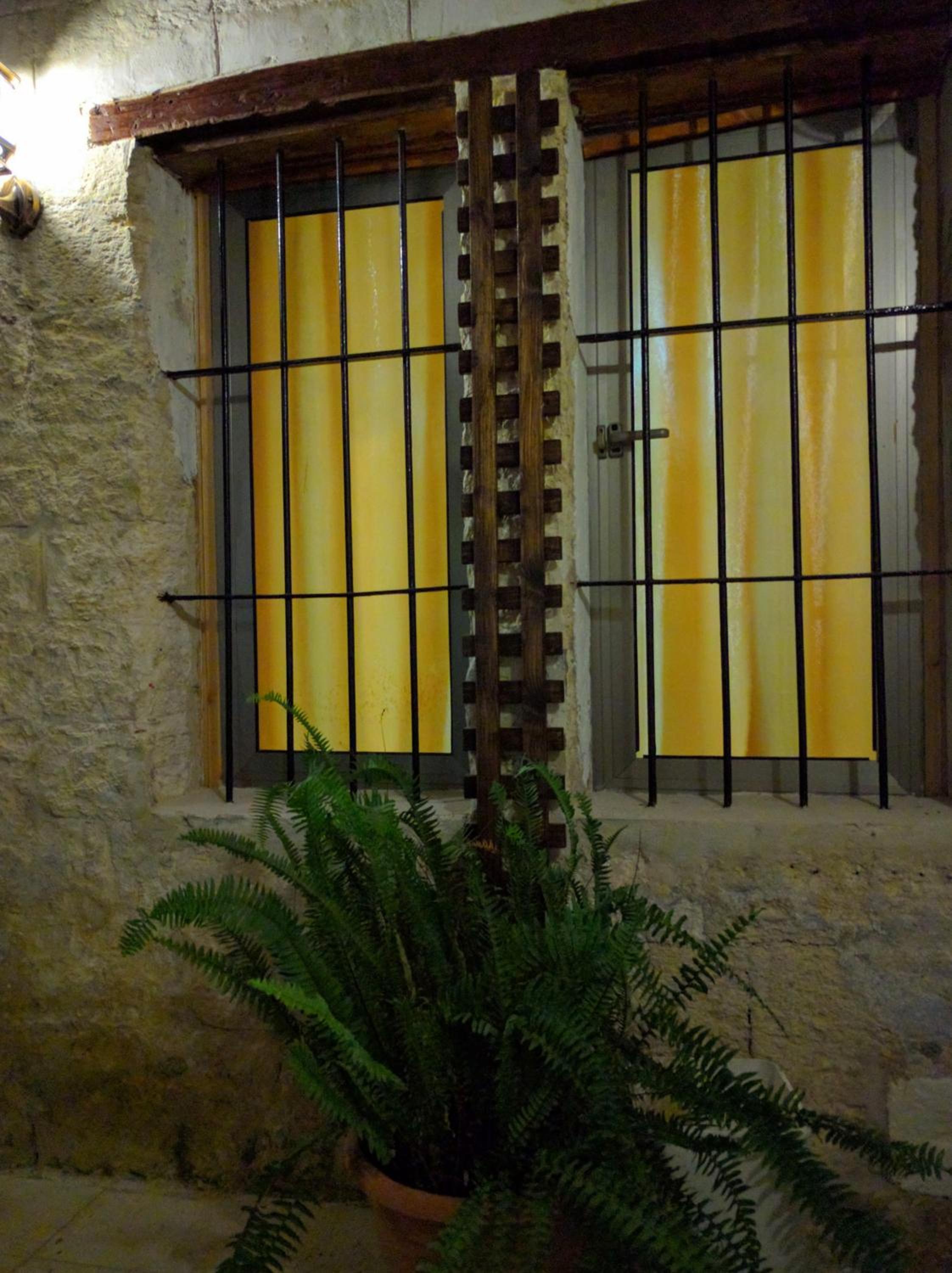 Photo 42
