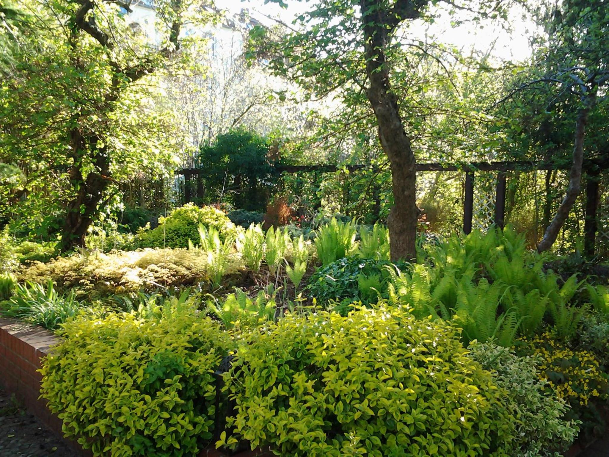 Gartenhaus Steffie view 3