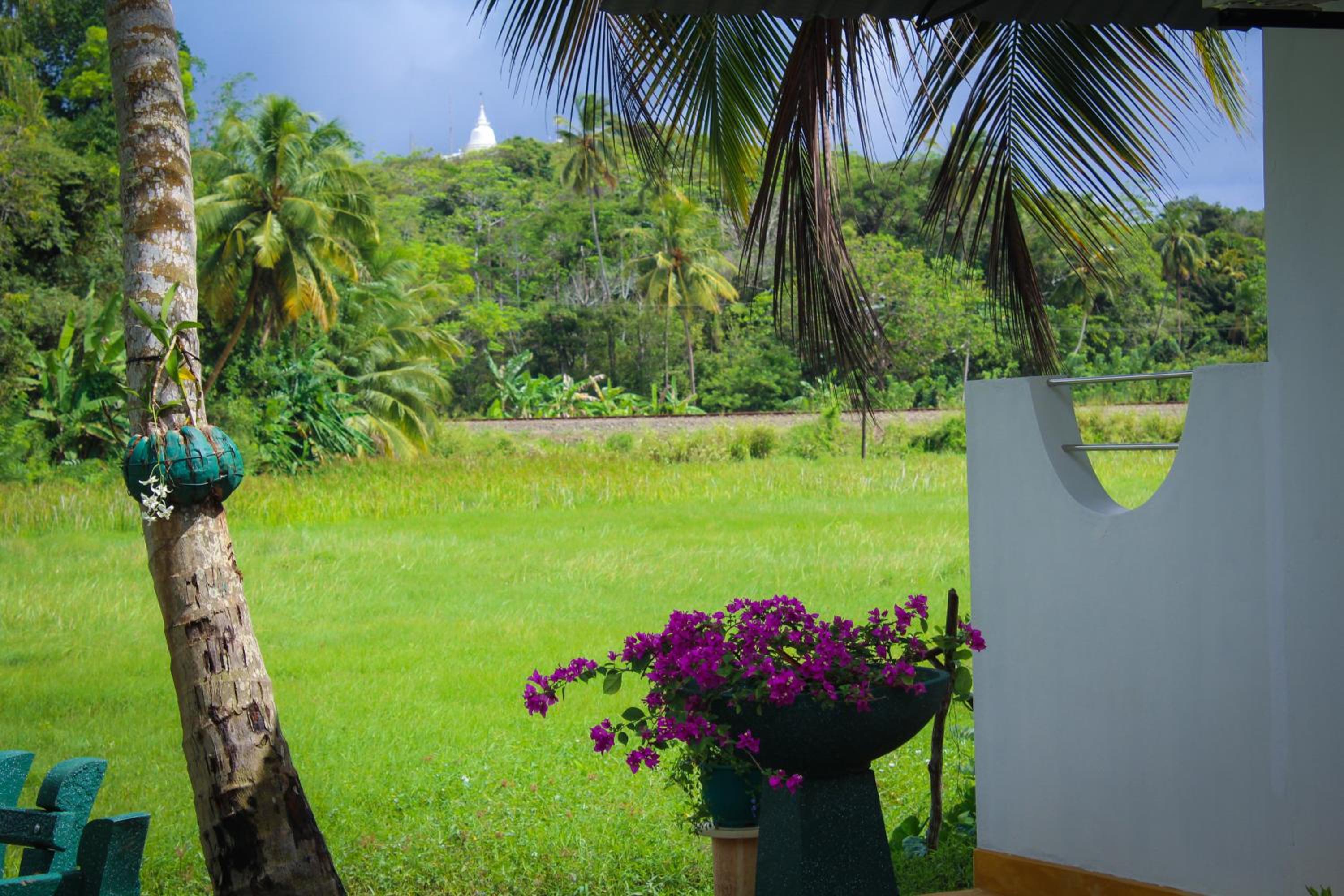 Paddy Field View Resort view 3