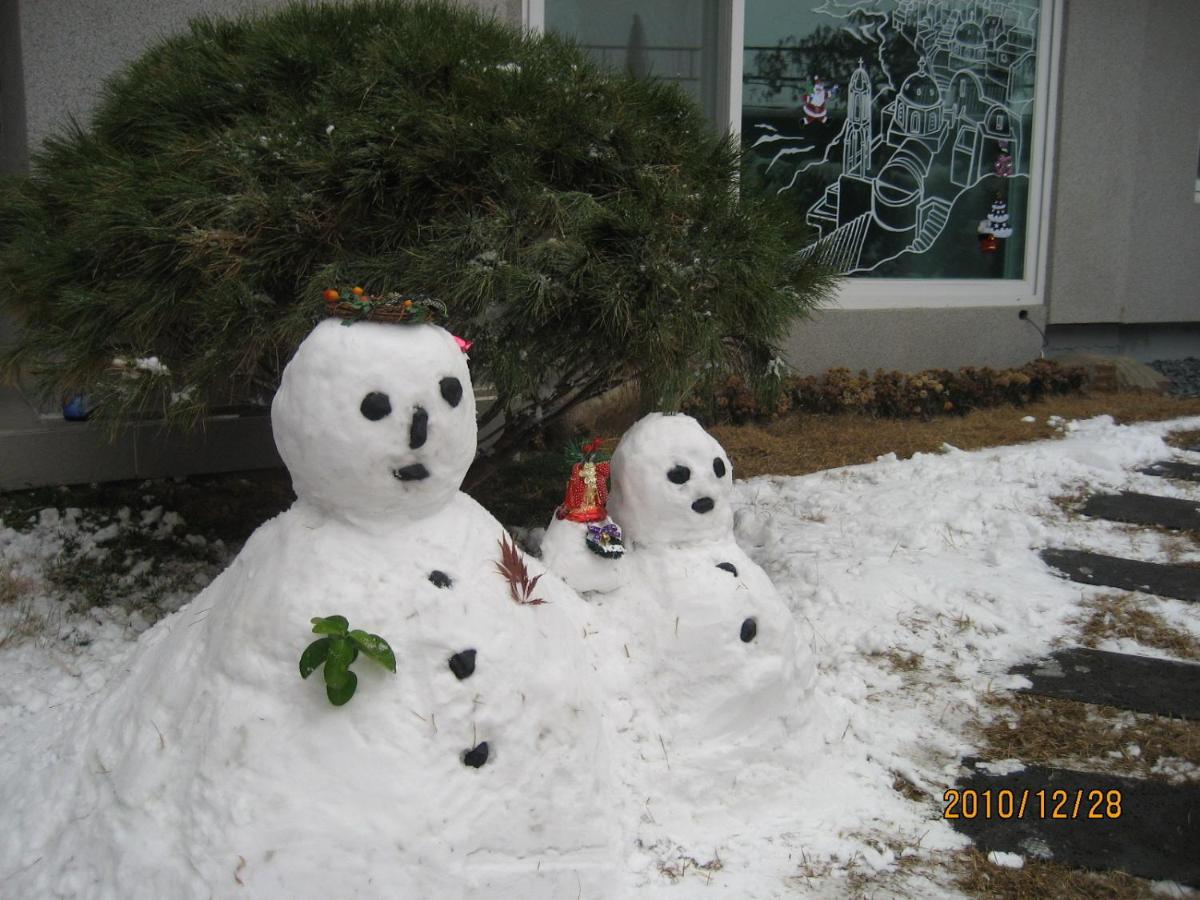 Photo 47