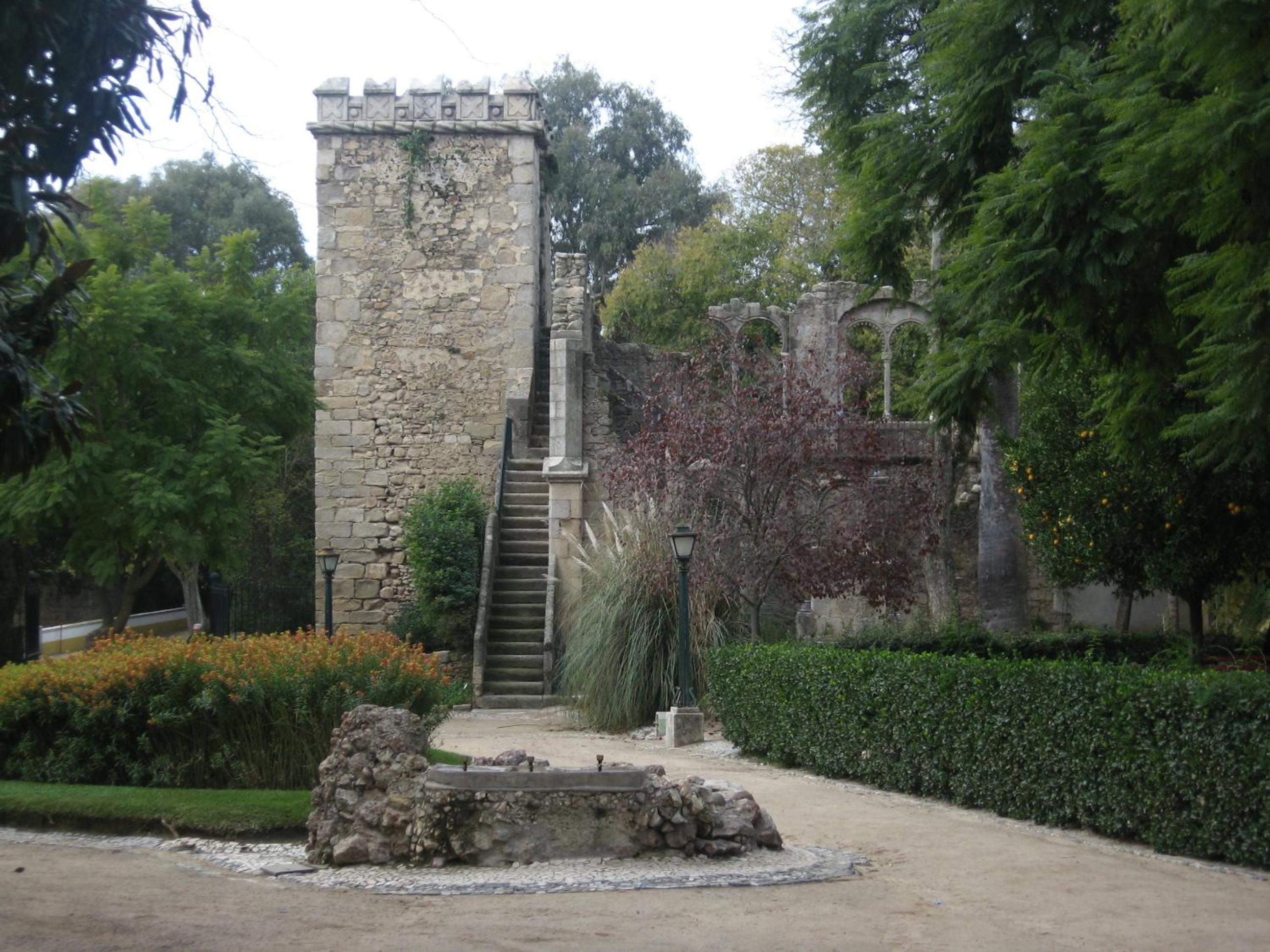 Photo 12