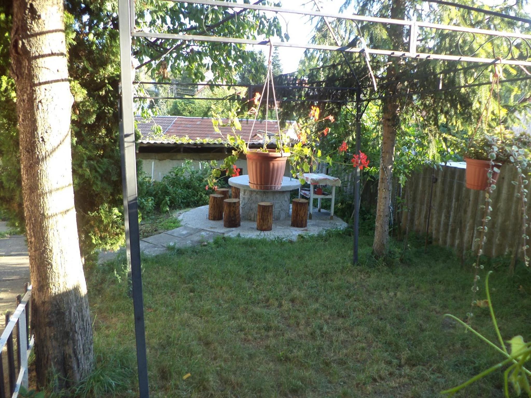 Photo 59