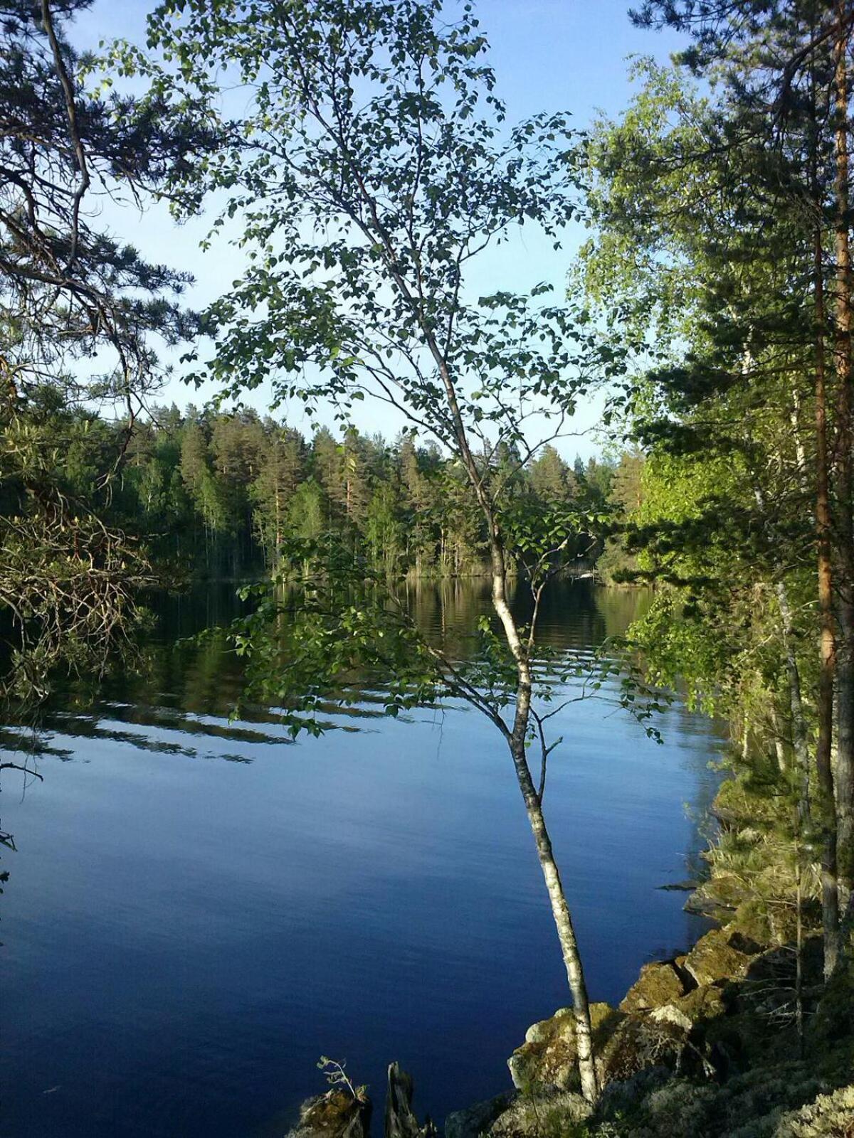 Photo 53