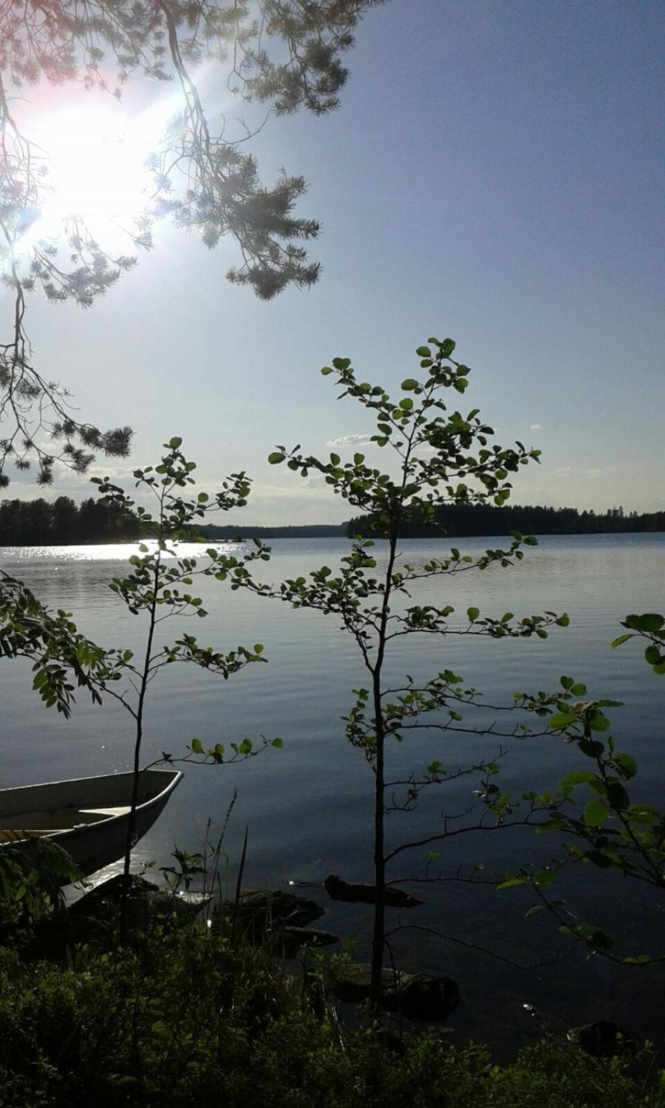 Photo 52