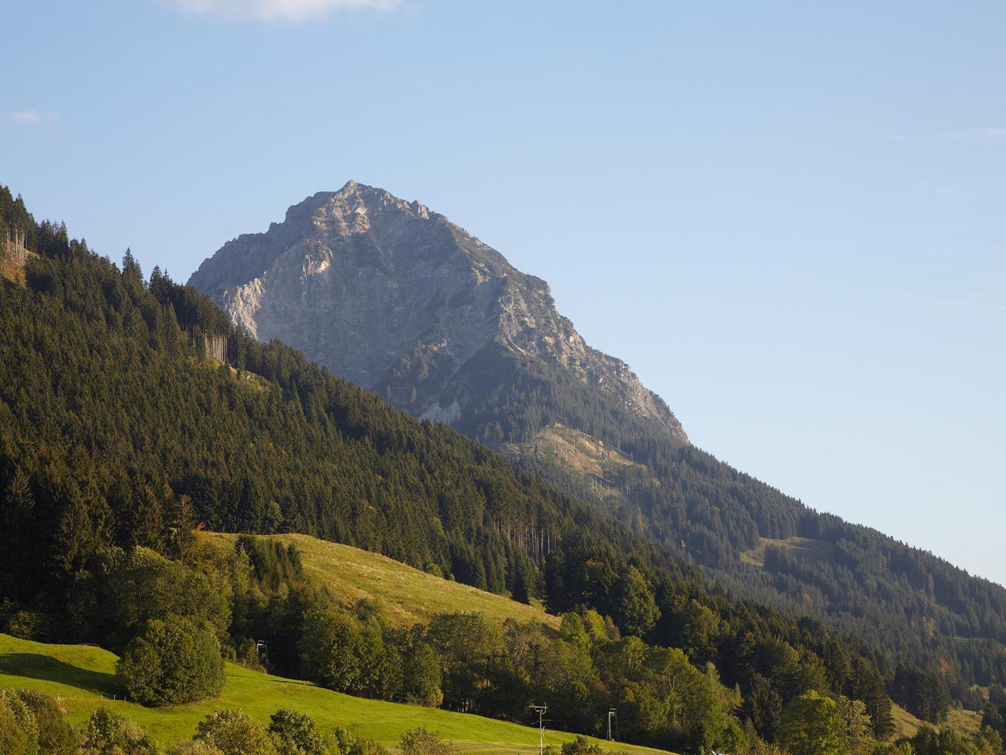 Schittlerhaus