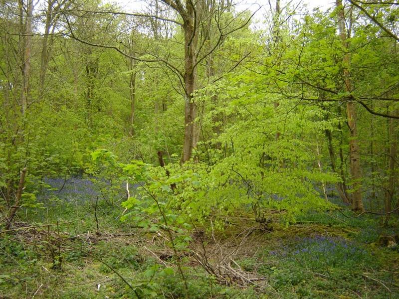 Photo 32
