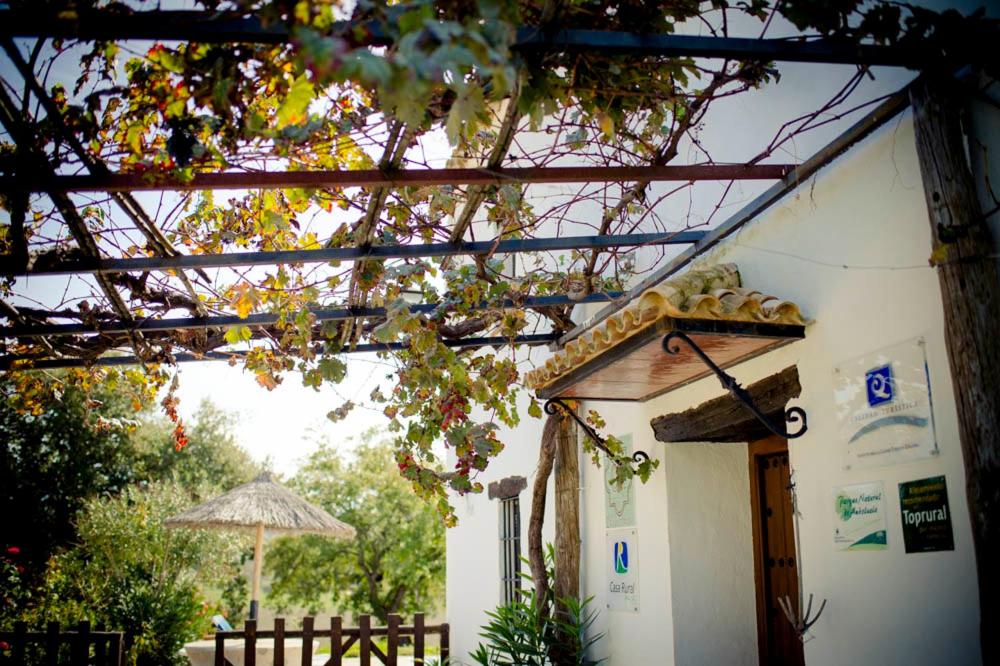 Rancho Calvillo view 3