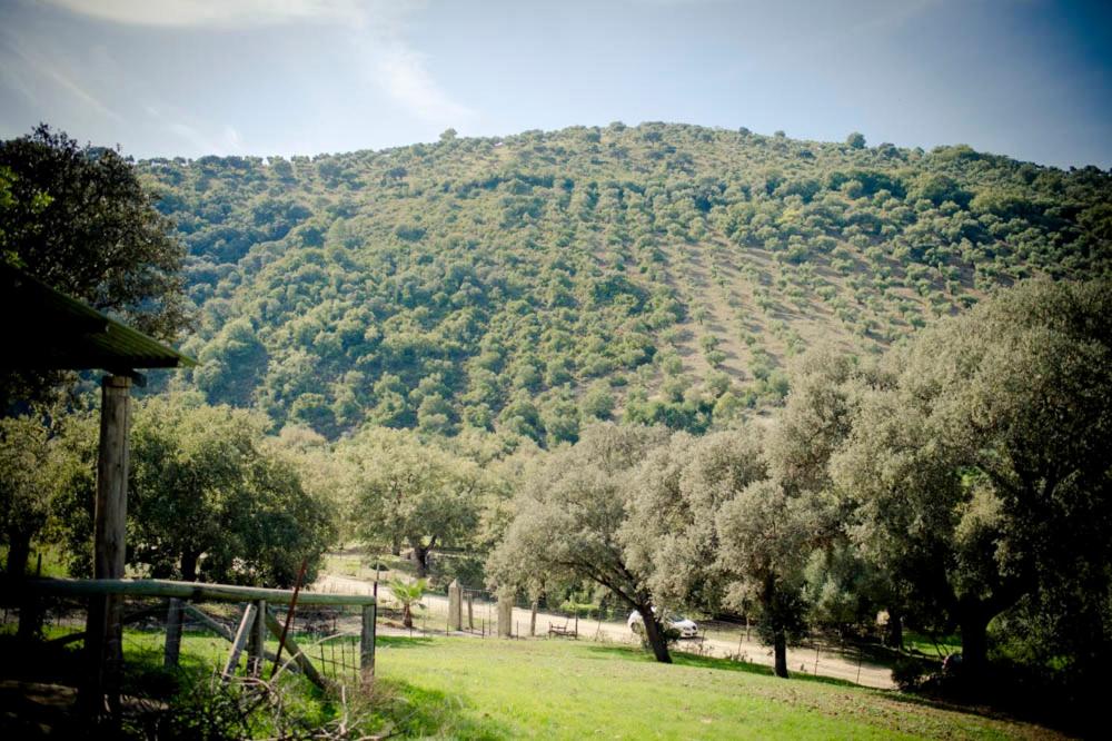 Rancho Calvillo view 2
