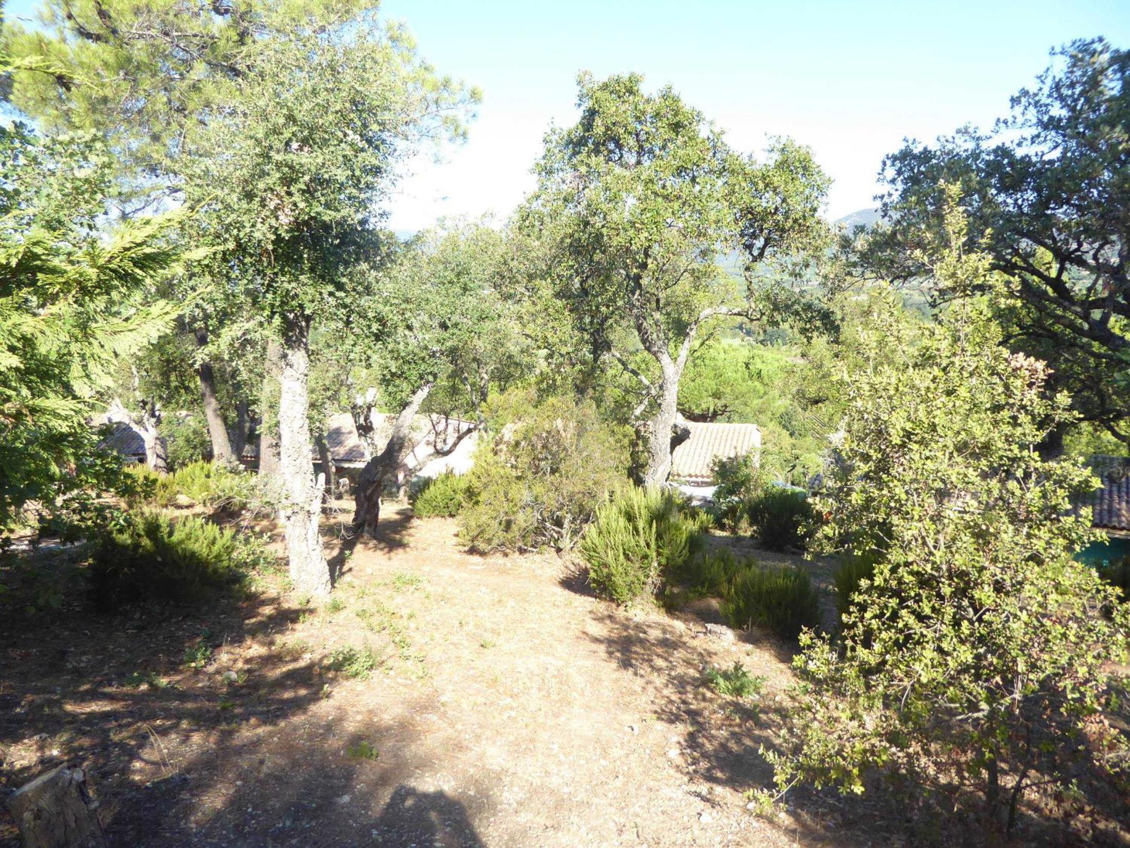 Ferienhaus bei St. Tropez, photo 2
