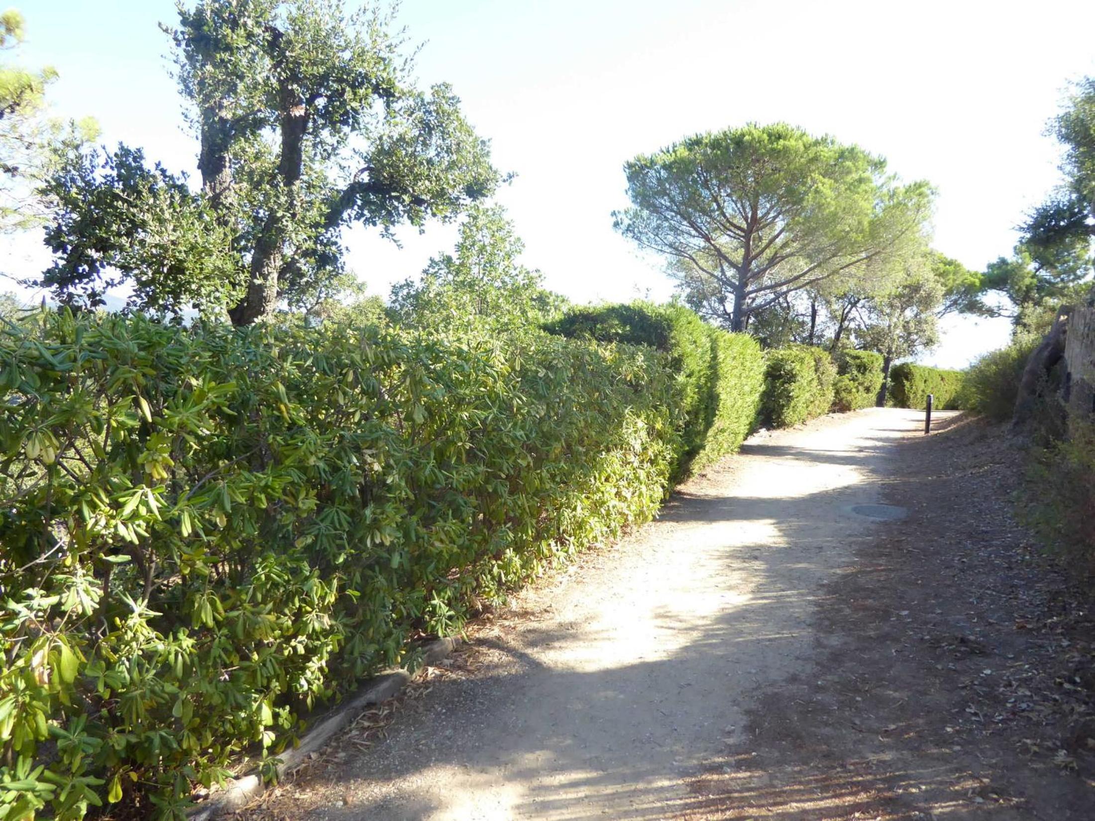 Ferienhaus bei St. Tropez, photo 21