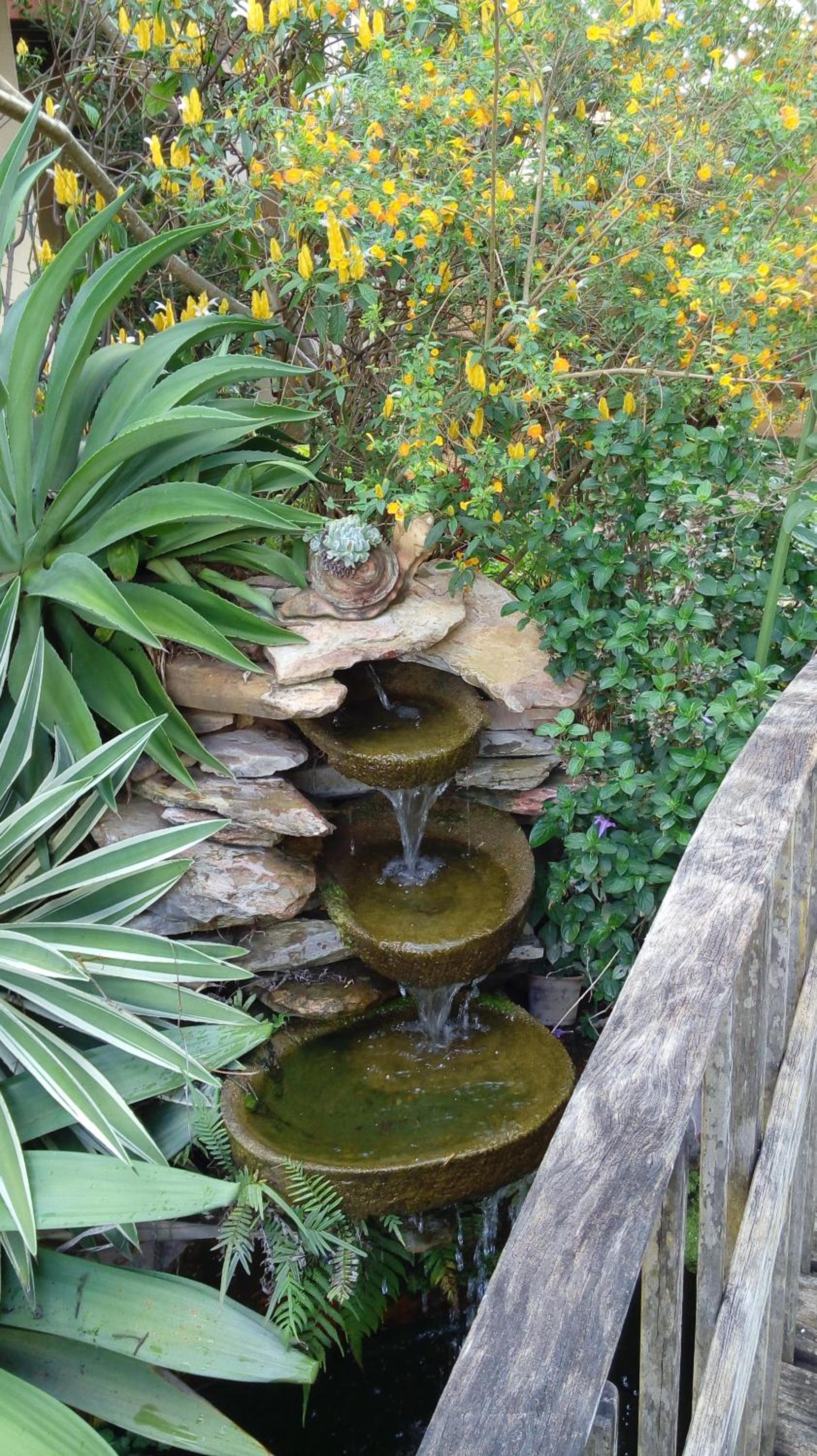 Photo 29