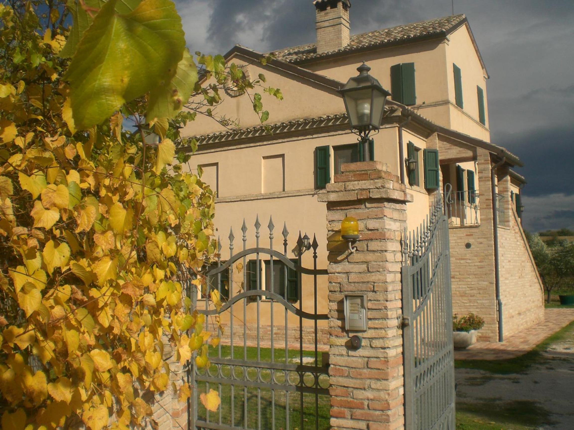 Photo 42