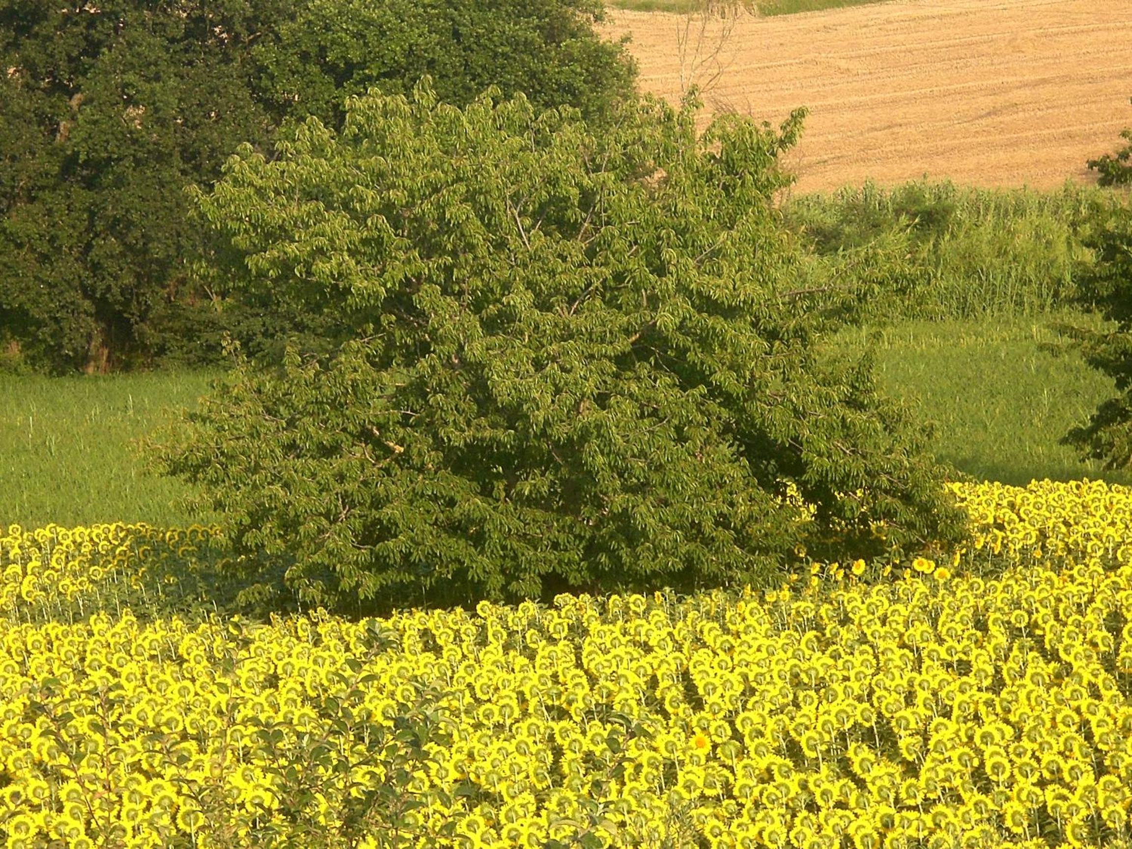 Photo 27