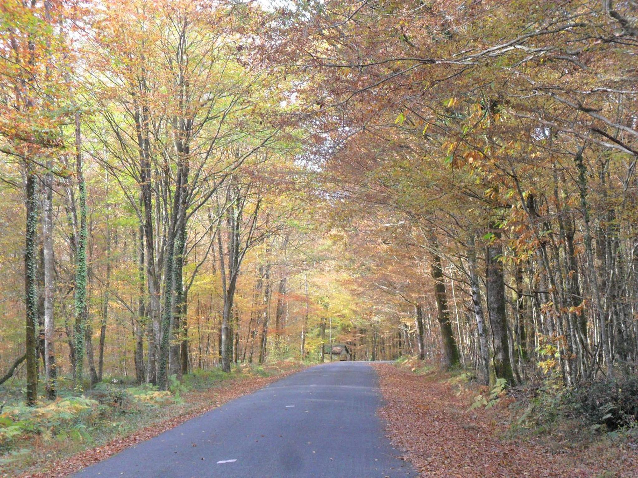 Chambres d'Hôtes Bienvenue
