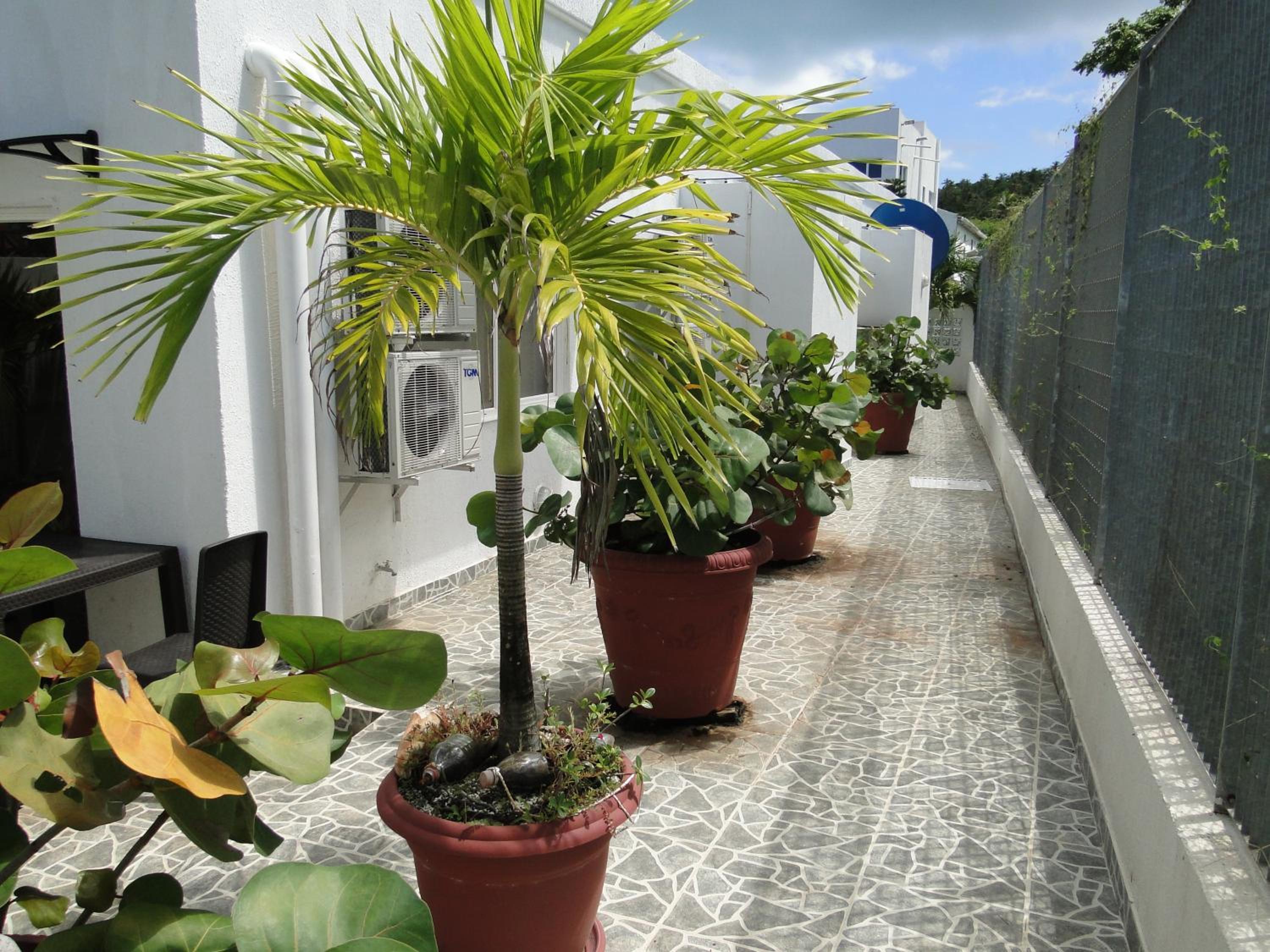 Casa Loft