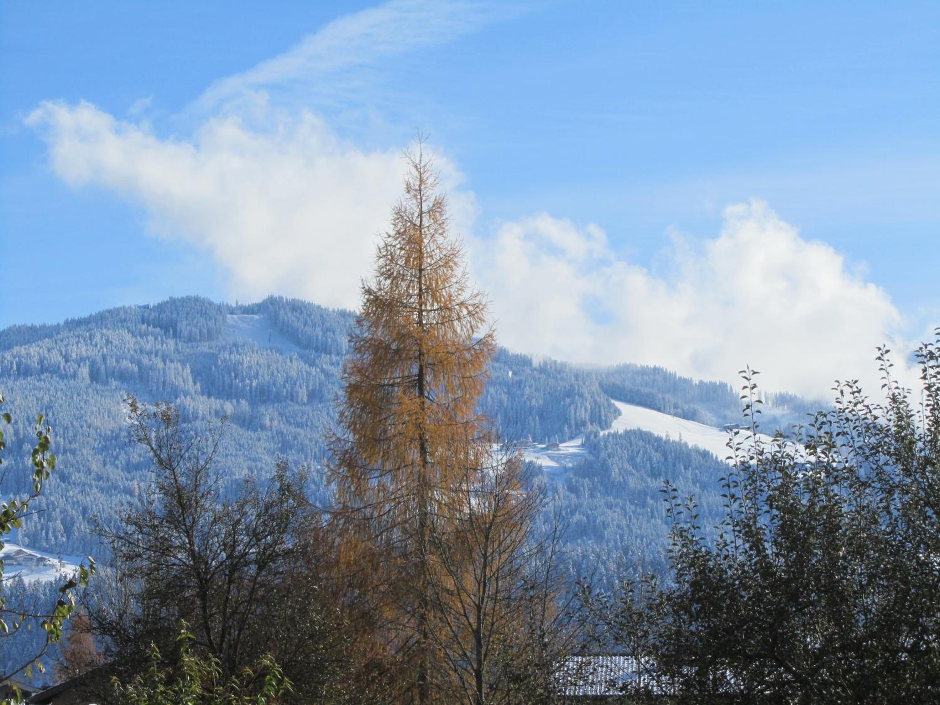 Ferienwohnung Familie Wieser