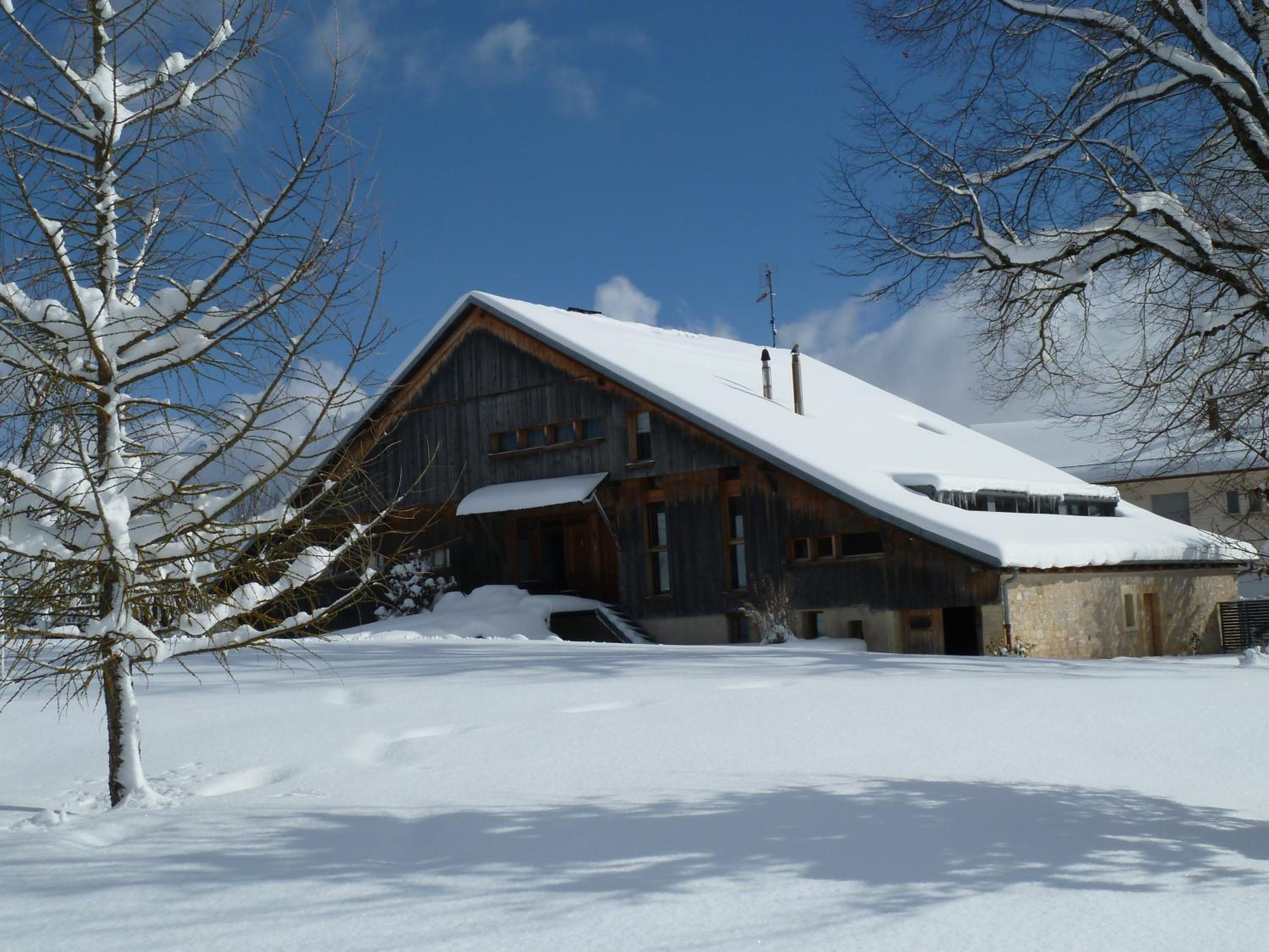 Photo 19